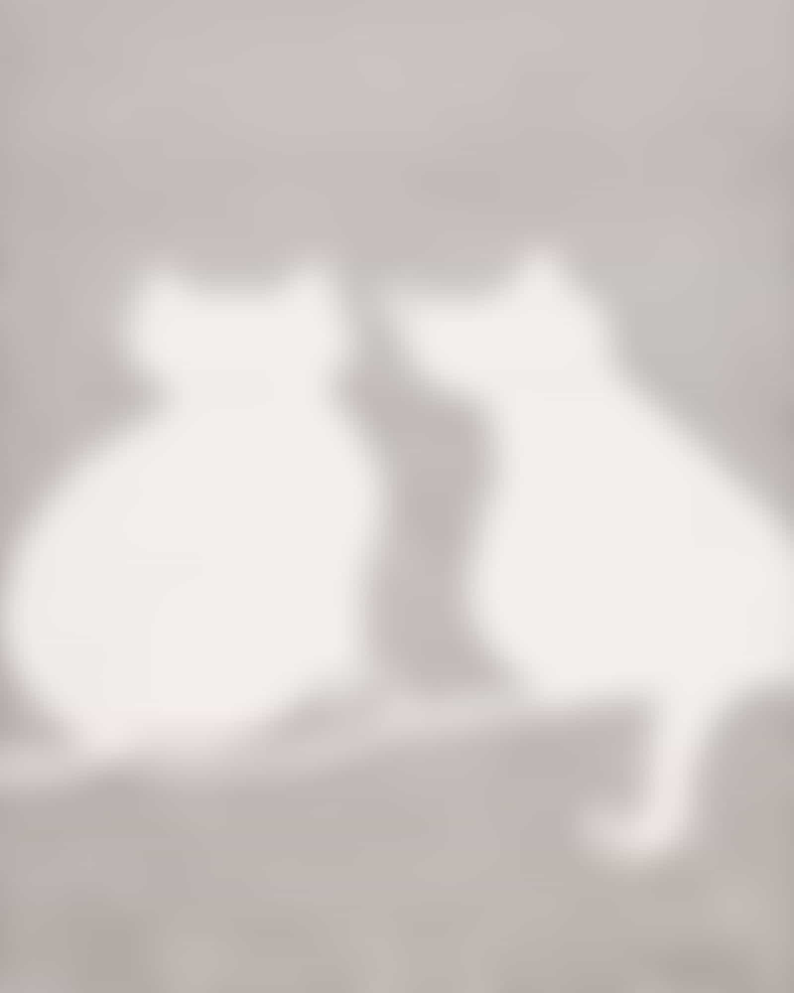 Cawö Badematten CUTE CATS You & Me 6263 - Farbe: platin/weiß - 76 - 50x80 cm