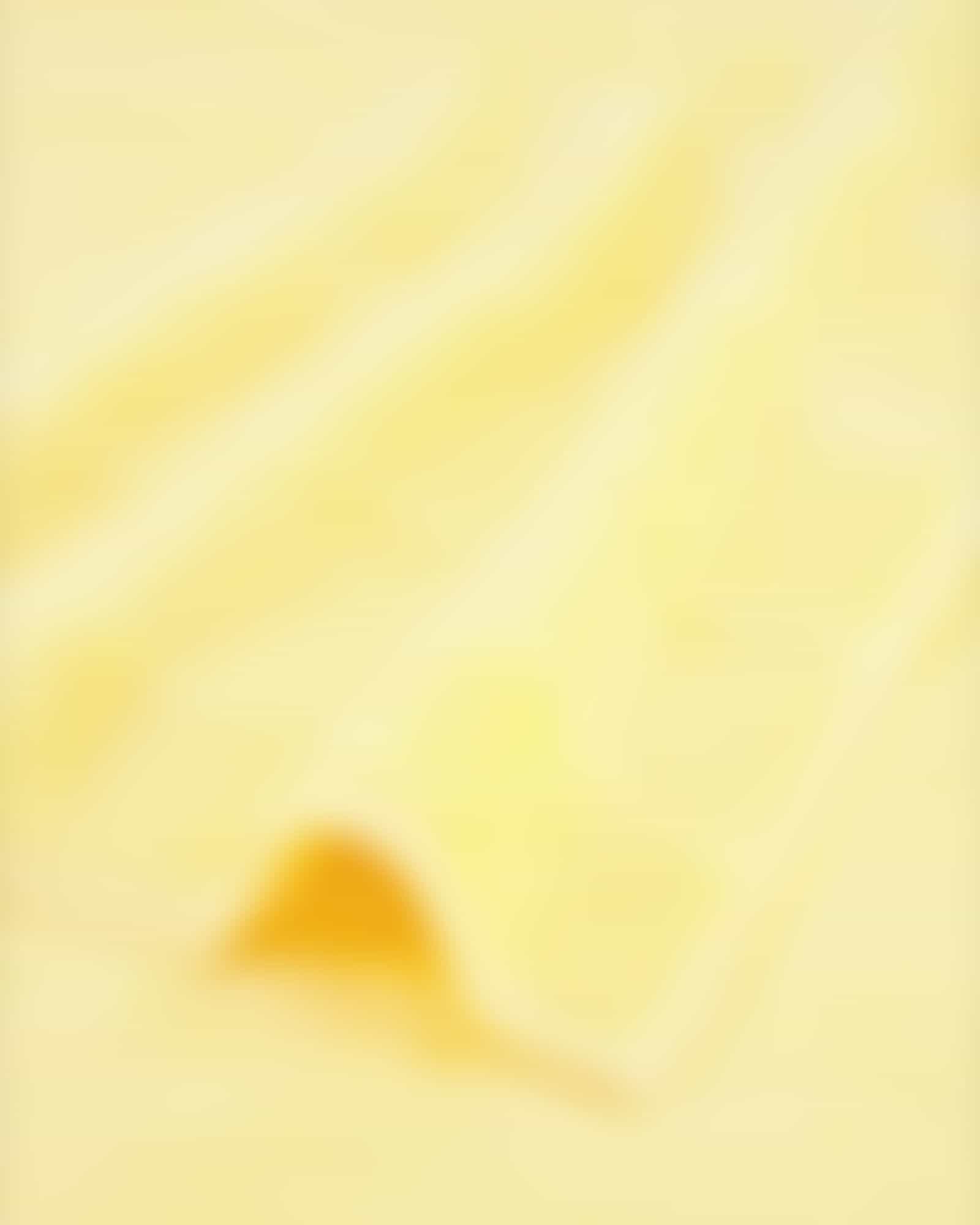 Cawö - Noblesse2 1002 - Farbe: honig - 581 - Duschtuch 80x160 cm