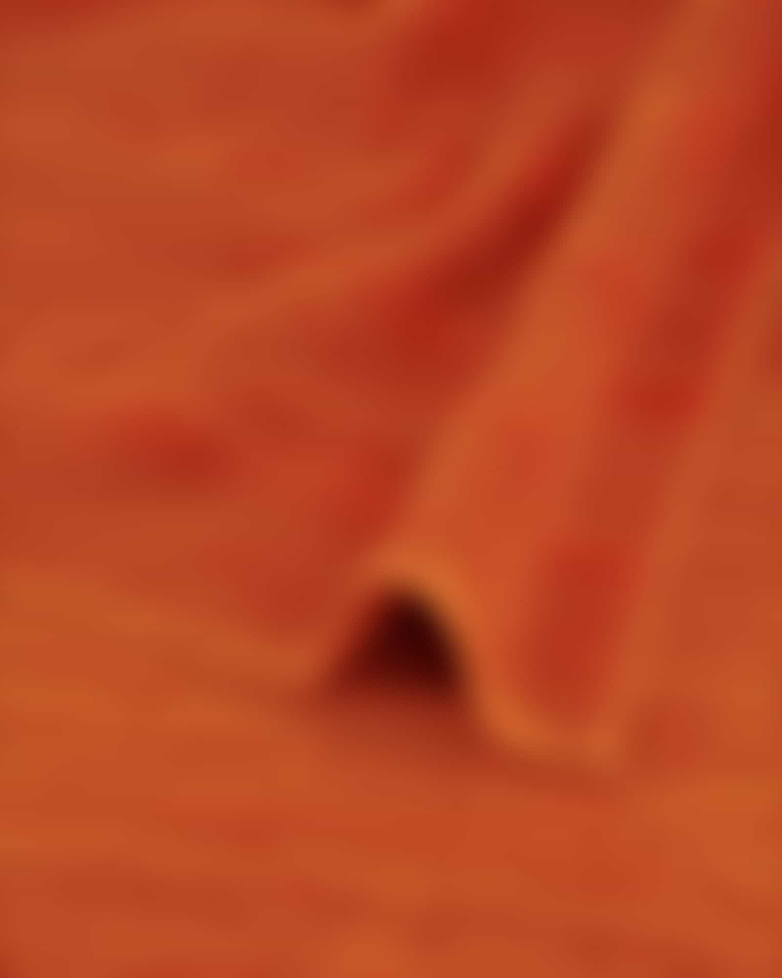 Cawö - Noblesse Uni 1001 - Farbe: 323 - terra - Handtuch 50x100 cm Detailbild 1 Cawö - Noblesse Uni 1001 - Farbe: 323 - terra - Handtuch 50x100 cm Detailbild 1