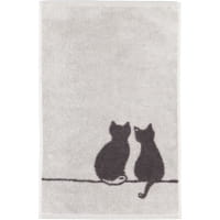 Cawö Handtücher CUTE CATS EDITION You &amp; Me 6263 - Farbe: platin/basalt - 70 - Handtuch 50x100 cm