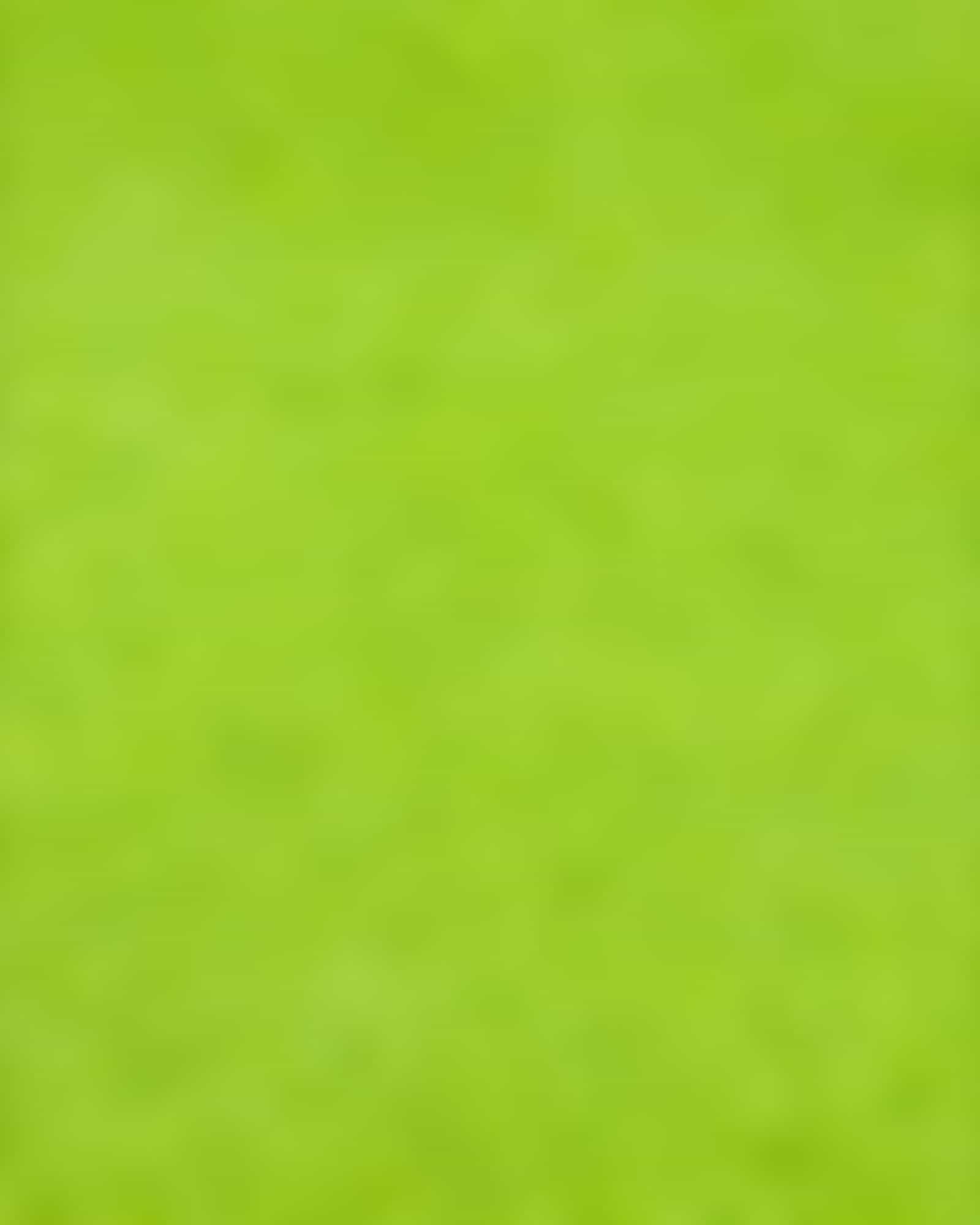 Vossen Badteppiche Timeless - Farbe: meadow green - 5300 - 50x60 cm