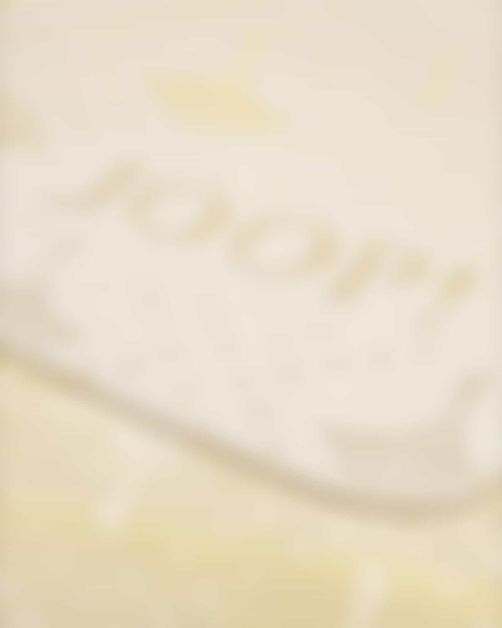 JOOP! Wohndecken Cornflower Charm - Farbe: Vanilla - 150x200 cm