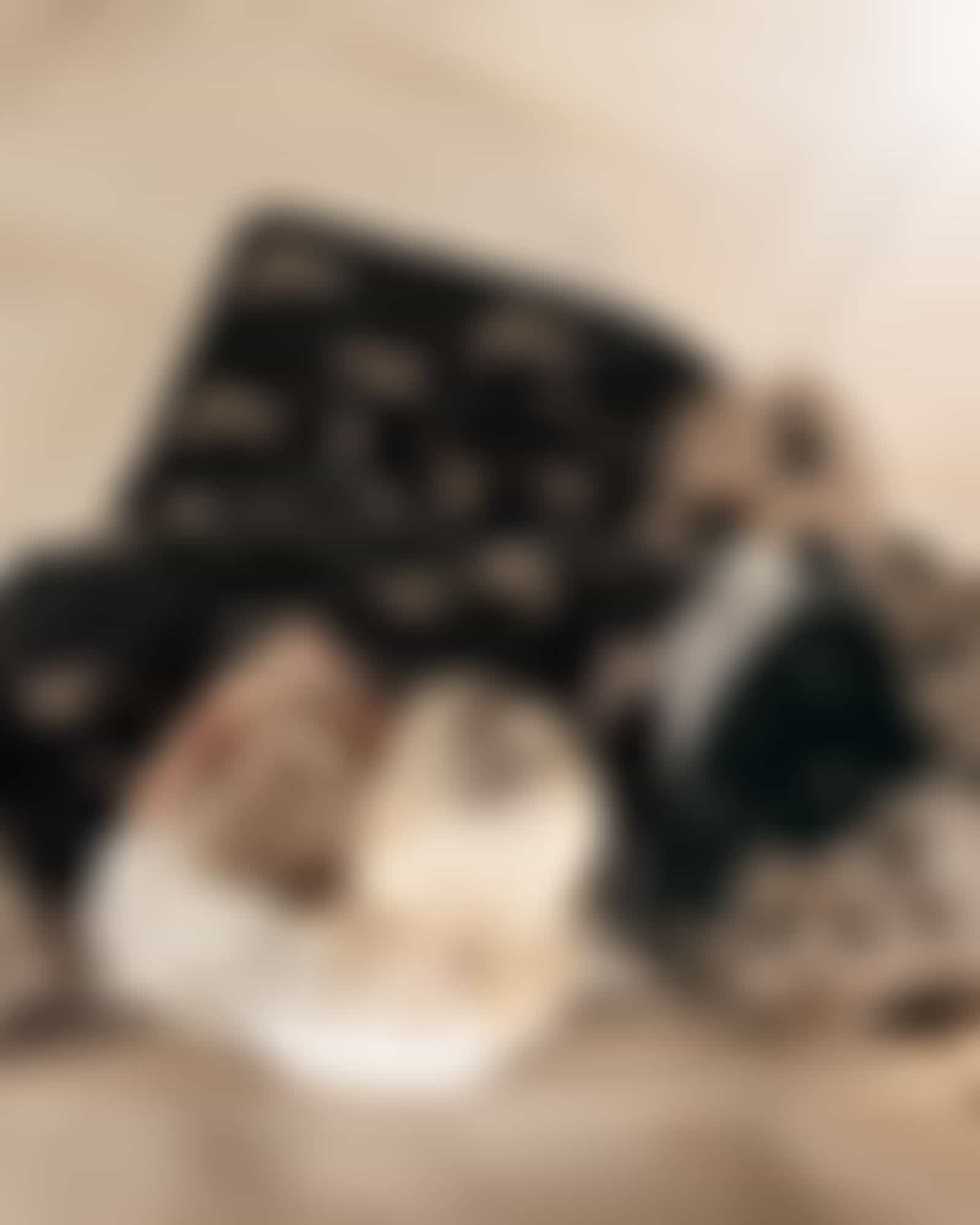 Cawö Wohndecken WE LOVE DOGS 62470 - Farbe: schwarz/beige - 93 - 150x200 cm Detailbild 3