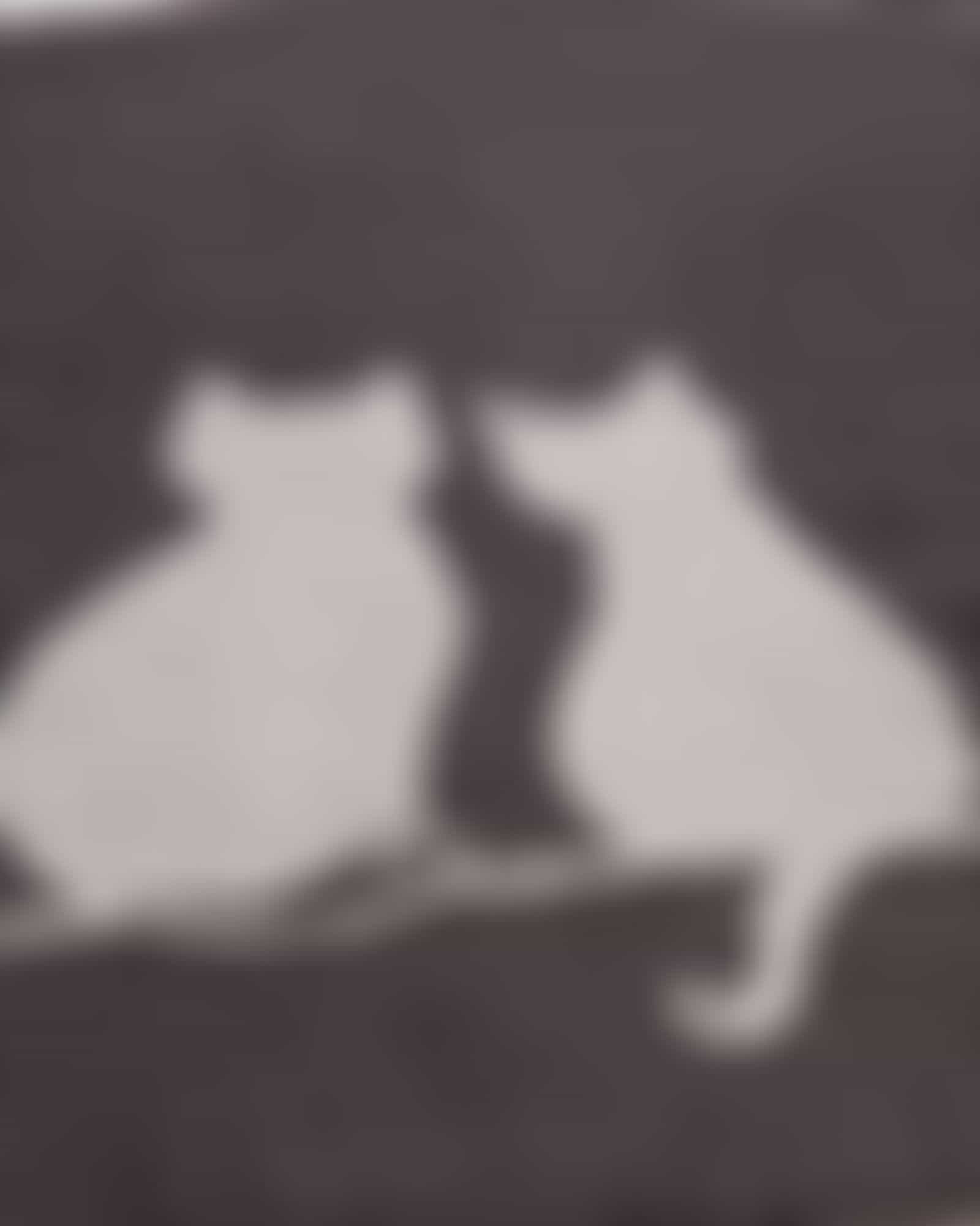 Cawö Badematten CUTE CATS You & Me 6263 - Farbe: basalt/platin - 77 - 50x80 cm Detailbild 2 Cawö Badematten CUTE CATS You & Me 6263 - Farbe: basalt/platin - 77 - 50x80 cm Detailbild 2