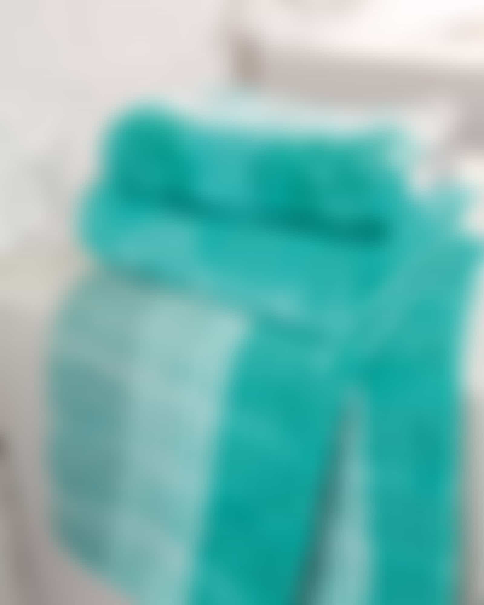 Cawö - Noblesse Cashmere Streifen 1056 - Farbe: mint - 14 - Waschhandschuh 16x22 cm Detailbild 1
