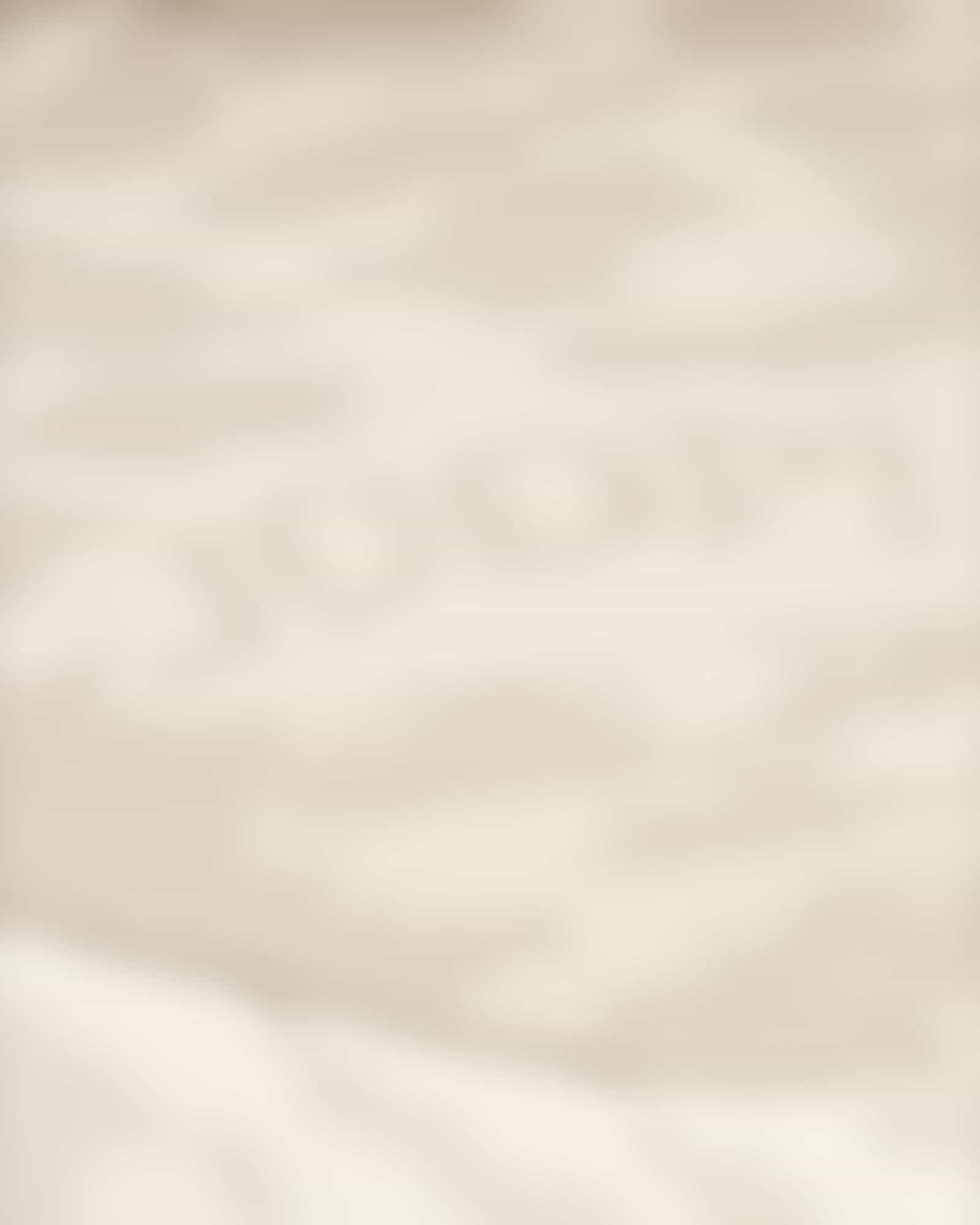 JOOP! Wohndecken Spirit - Farbe: Natur - 150x200 cm