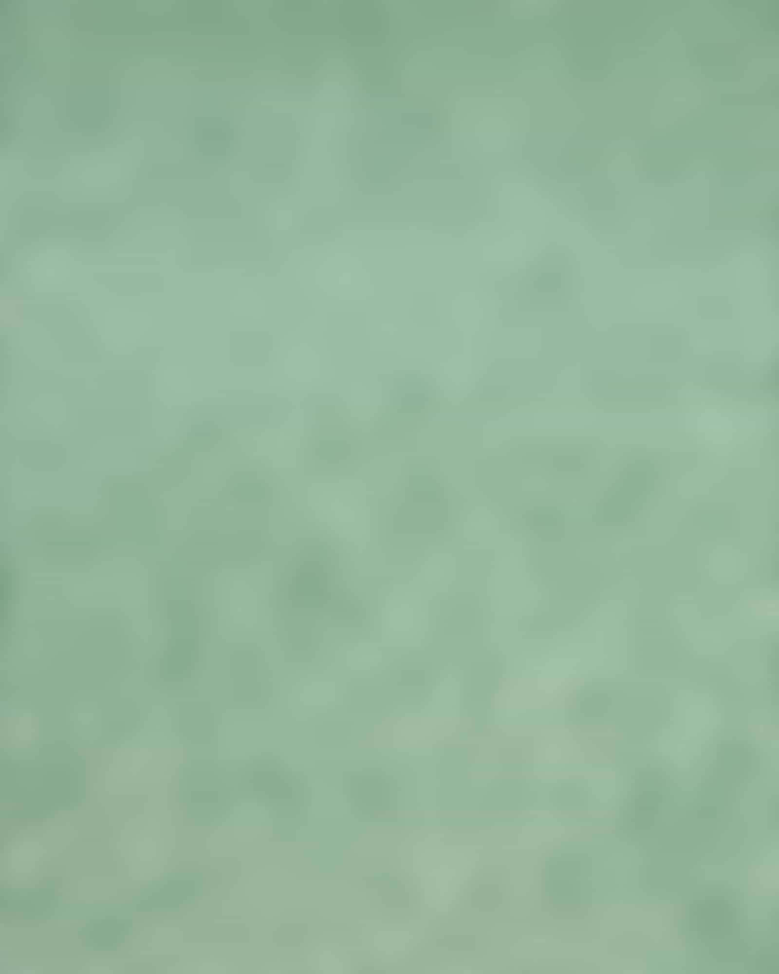Vossen Badteppiche Timeless - Farbe: soft green - 5305 - 70x120 cm