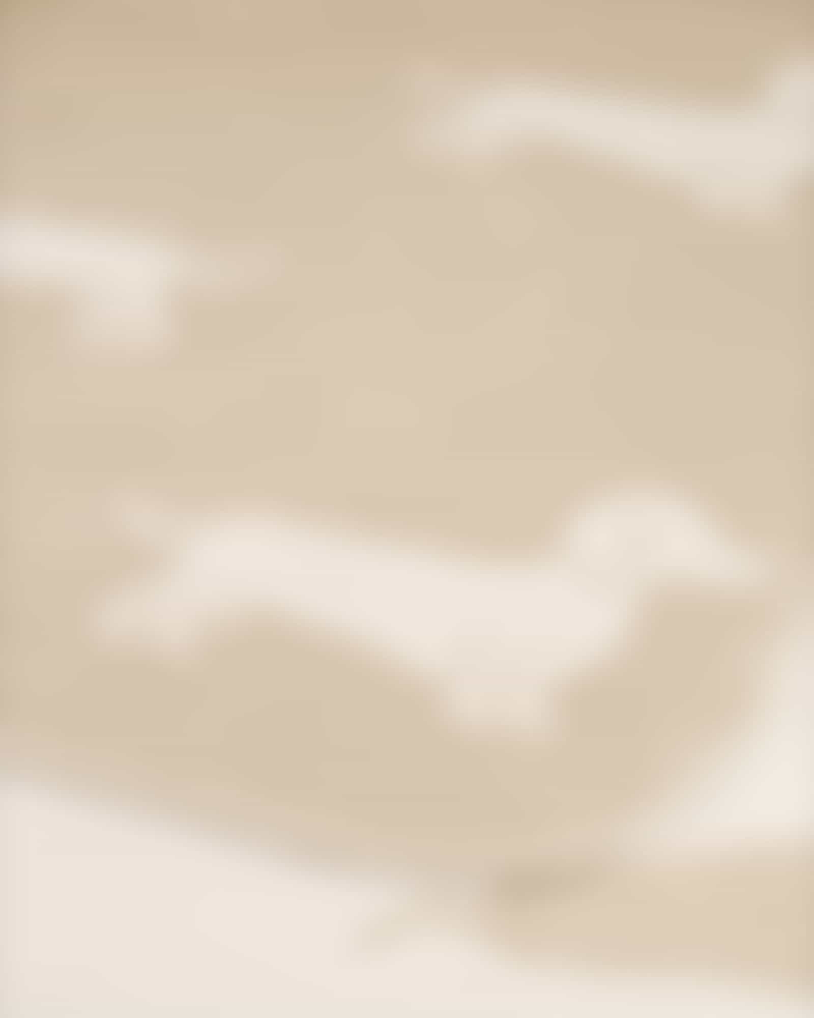 Cawö Wohndecken WE LOVE DOGS 62460 - Farbe: natur/beige - 33 - 150x200 cm