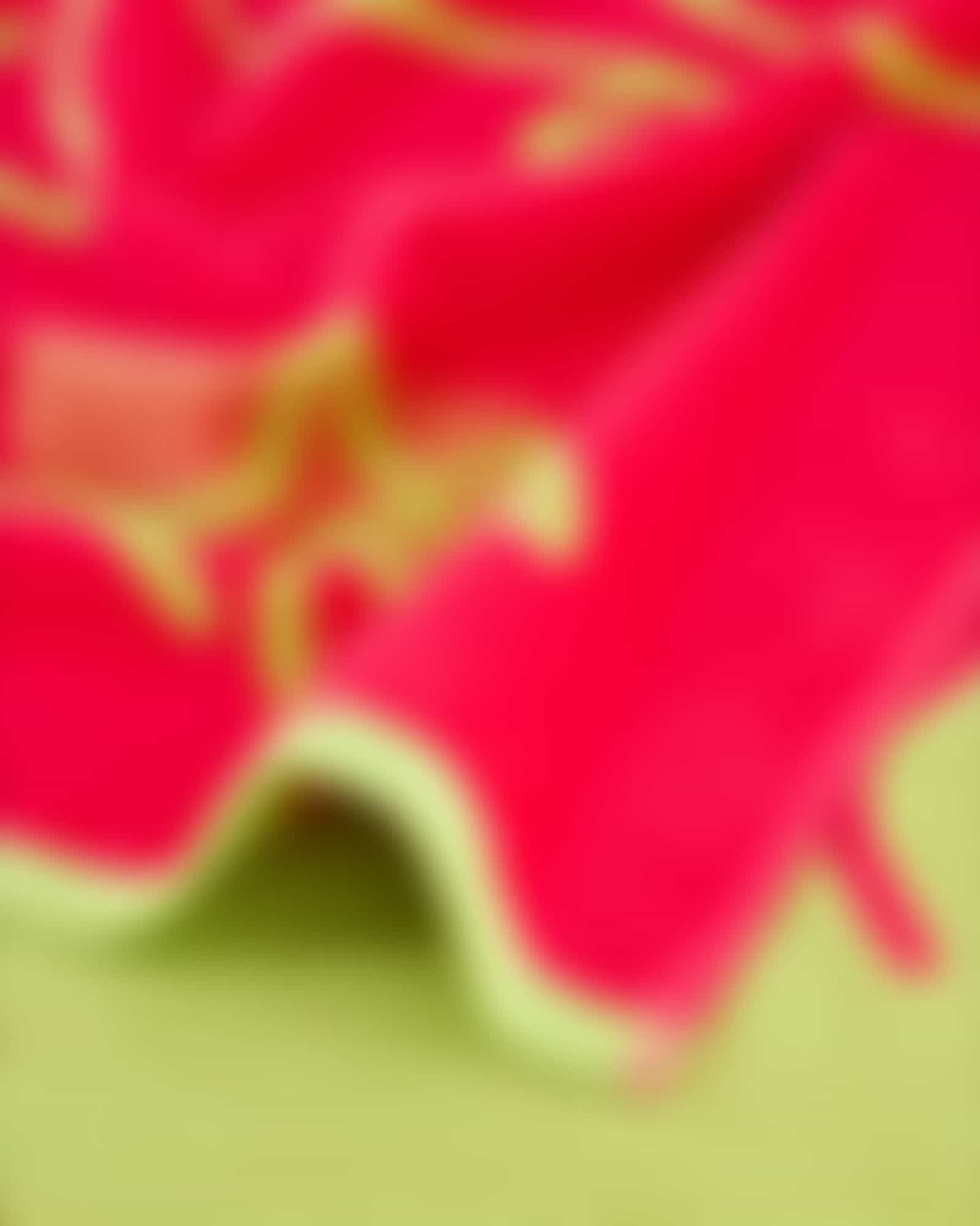 Vossen Strandtücher Free Ocean - Farbe: prim rose - 0001 - 100x180 cm