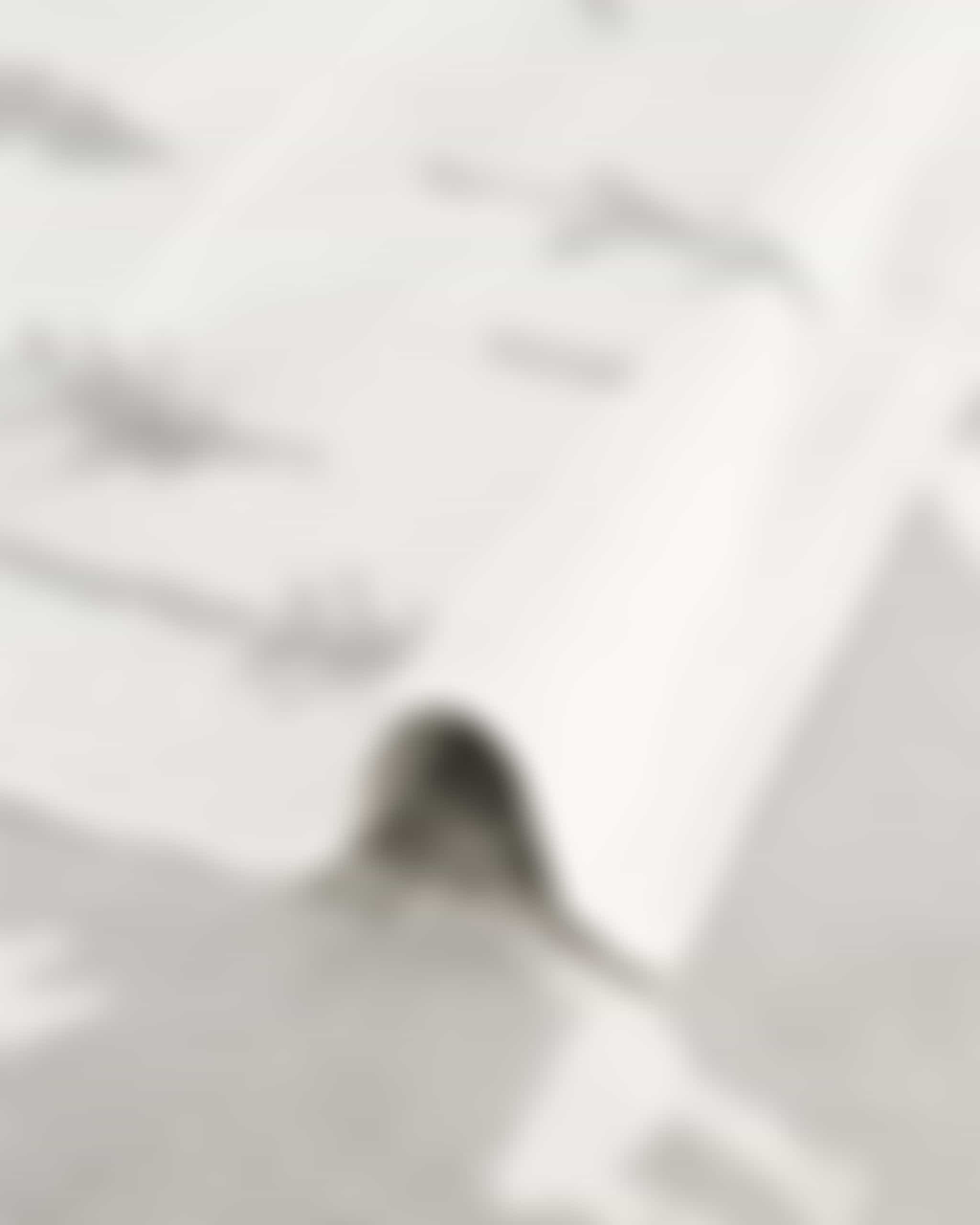 Cawö Handtücher WINTER EDITION Tannen 6273 - Farbe: weiß/platin - 67