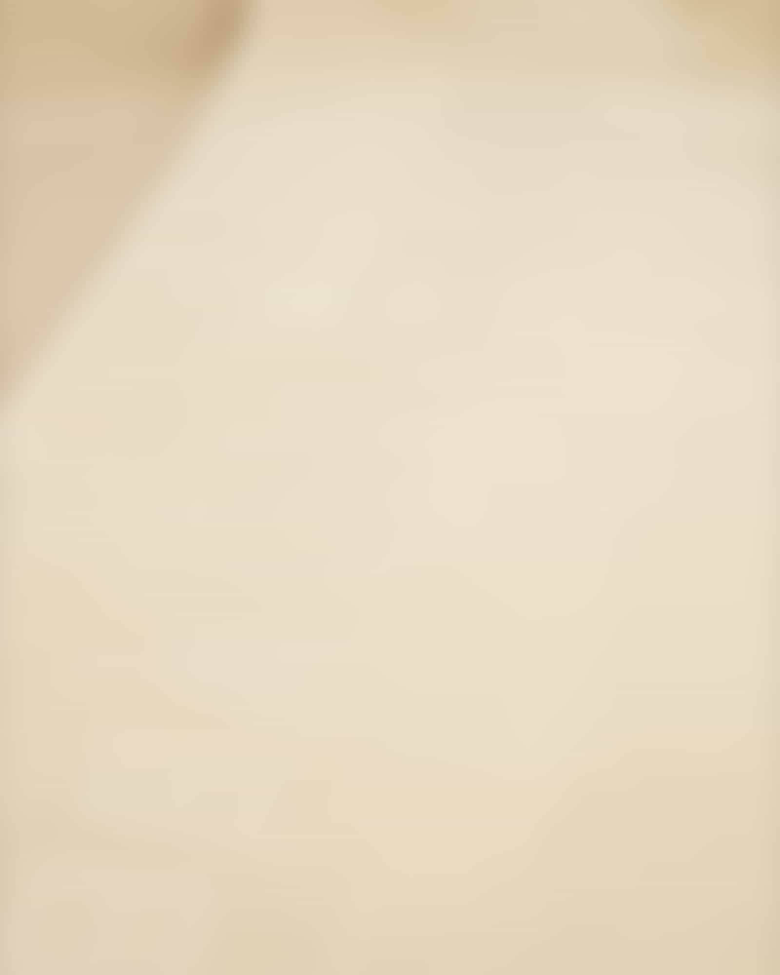 Vossen Strandtücher Beach Club - Farbe: tibet - 6100 - 100x180 cm