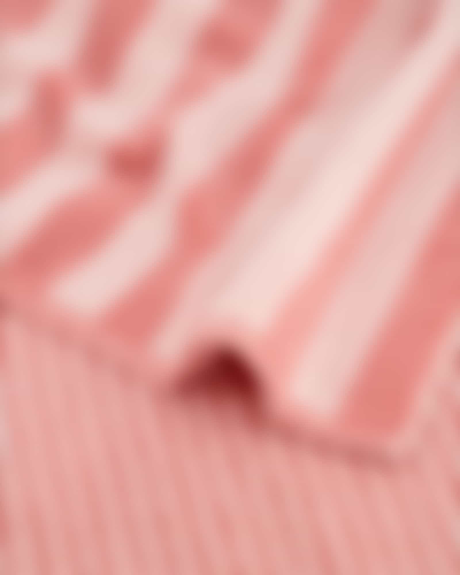 Cawö Handtücher Reverse Wendestreifen 6200 - Farbe: rouge - 22