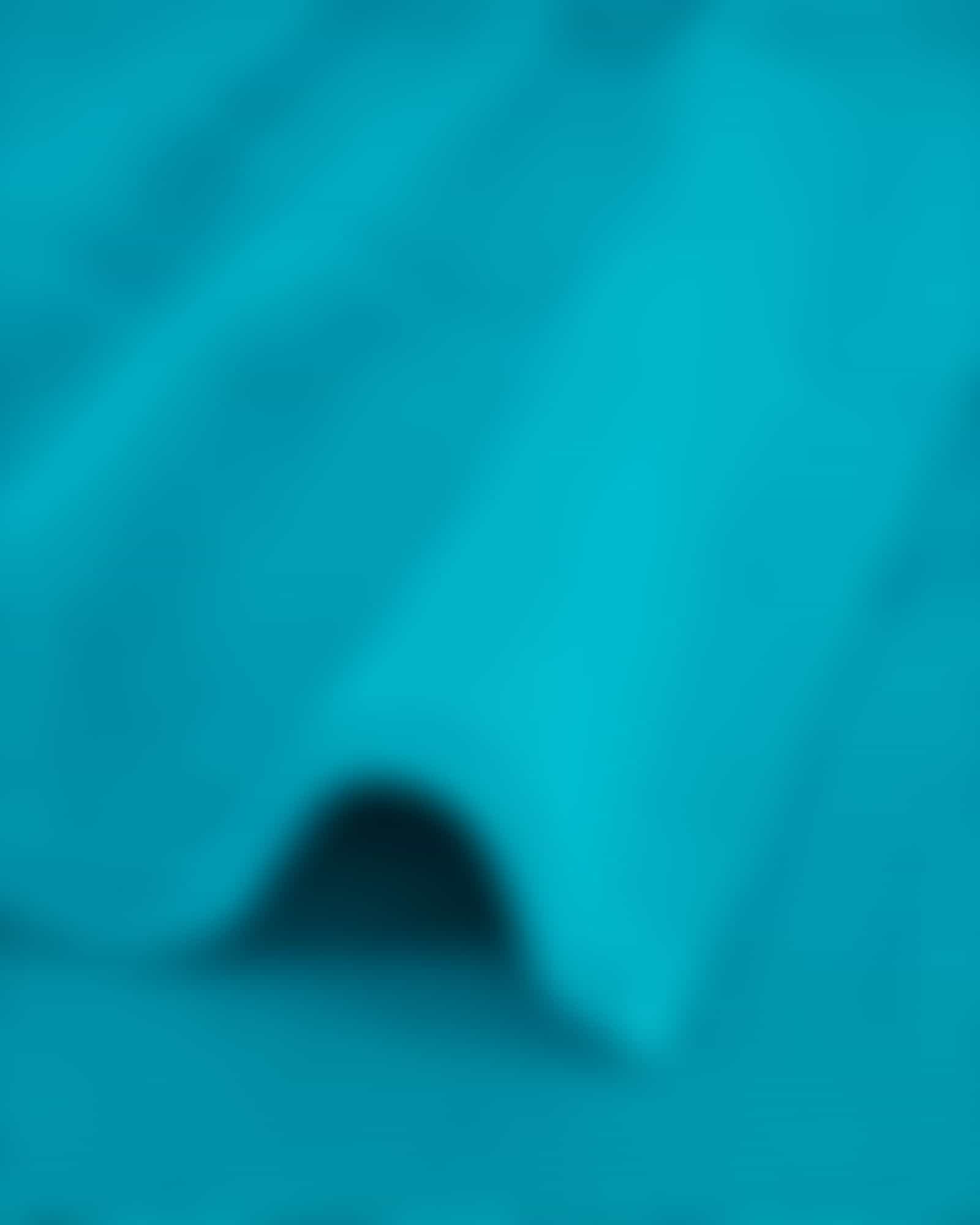 frottana Saunatücher Pearl - Farbe: ocean - 460 - 80x200 cm Detailbild 1 frottana Saunatücher Pearl - Farbe: ocean - 460 - 80x200 cm Detailbild 1