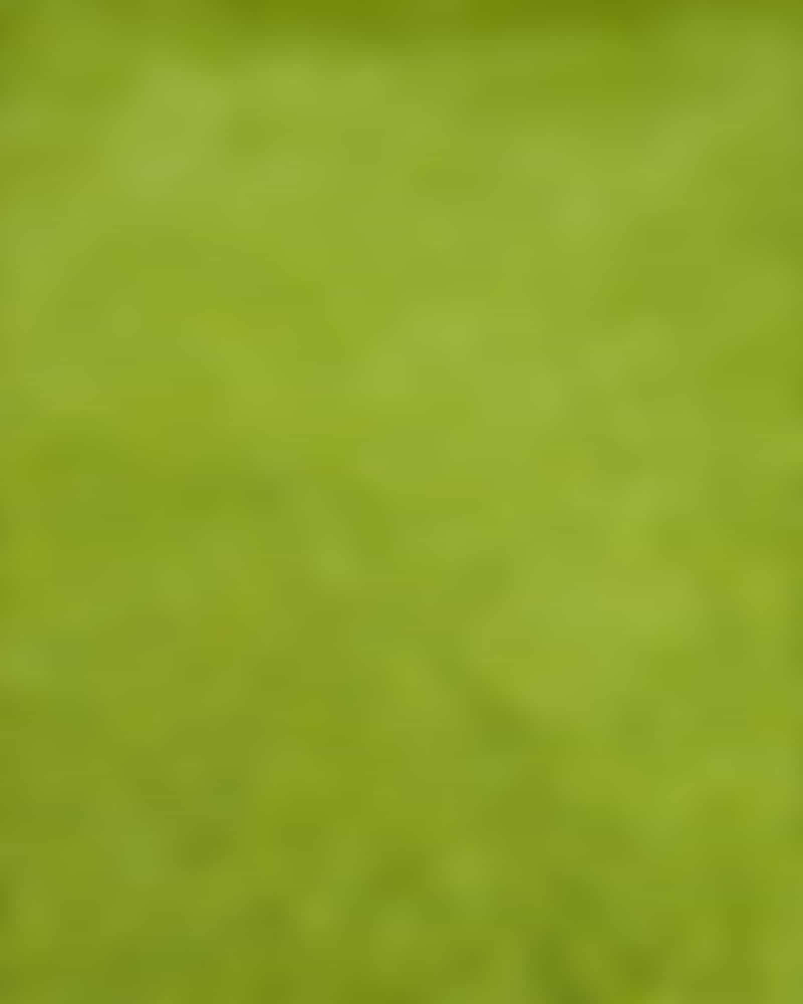 Vossen Badteppiche Timeless - Farbe: avocado - 5705 - 50x60 cm