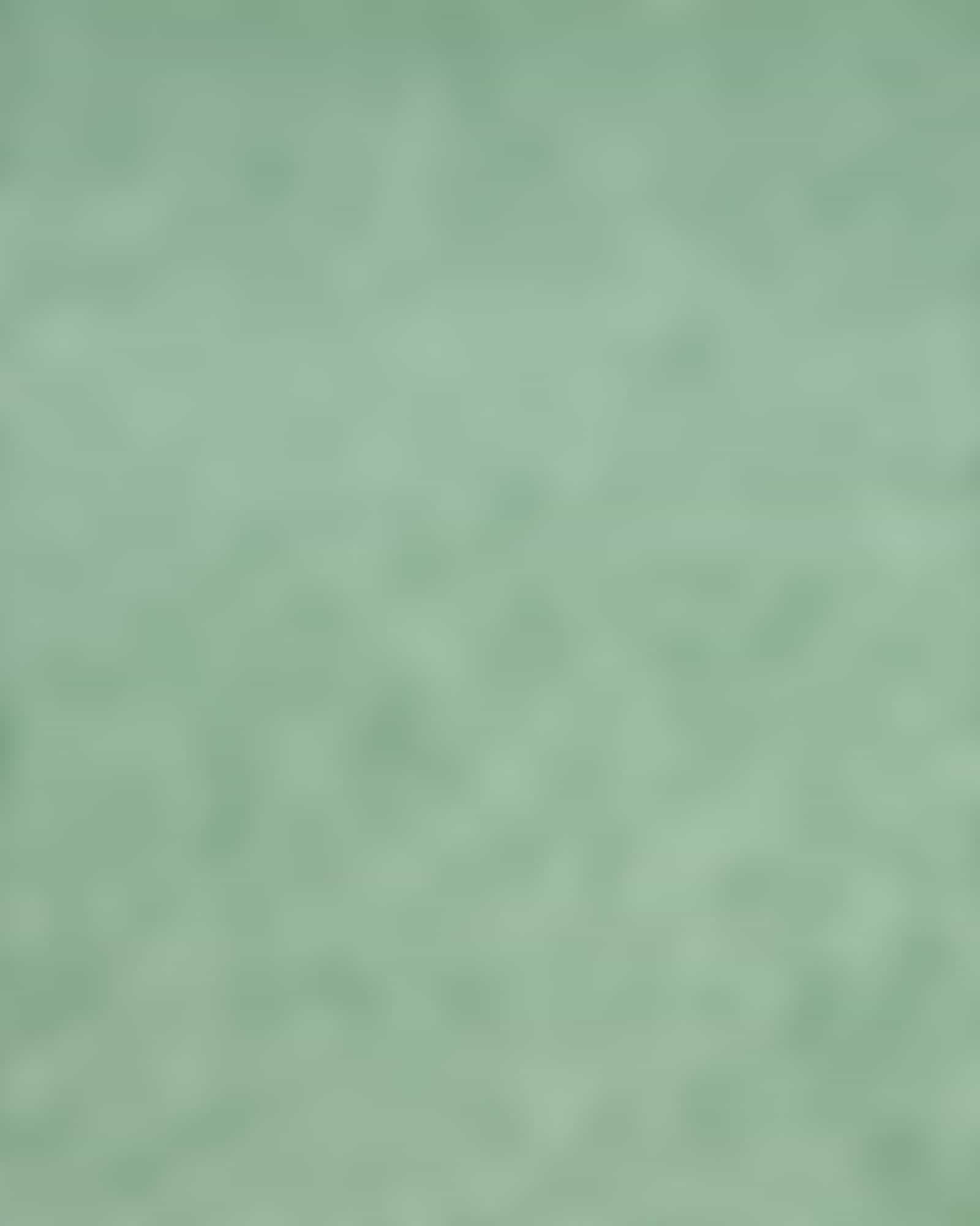 Vossen Badteppiche Timeless - Farbe: soft green - 5305 - 70x120 cm Detailbild 2 Vossen Badteppiche Timeless - Farbe: soft green - 5305 - 70x120 cm Detailbild 2