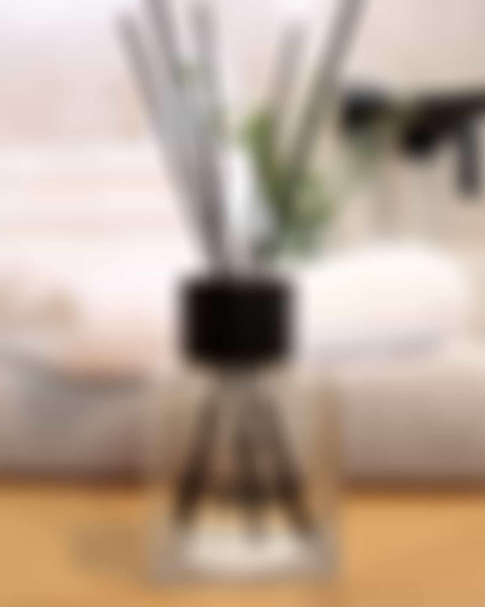 Cawö Home Accessoires - Raumduft Diffusor 10007 - Duft: Verto - 40 Detailbild 1
