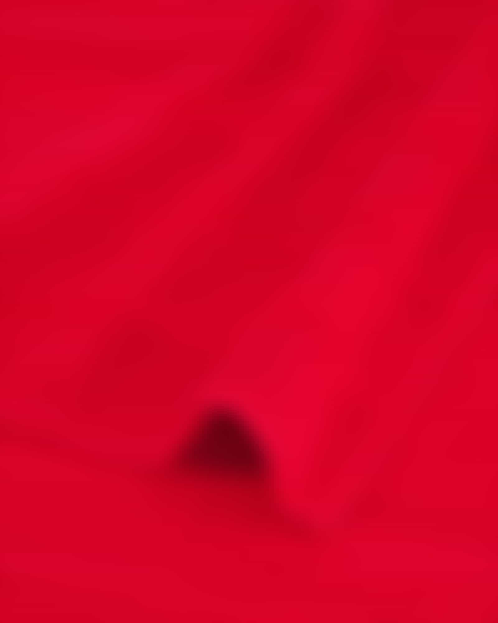 Cawö - Noblesse Uni 1001 - Farbe: 203 - rot - Waschhandschuh 16x22 cm Detailbild 1