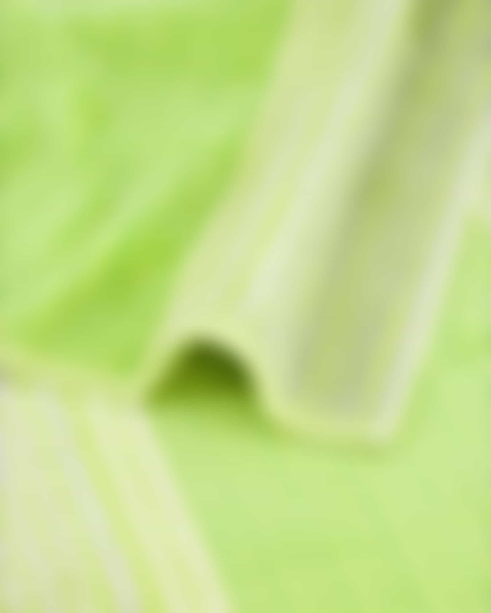 Cawö - Noblesse Cashmere Streifen 1056 - Farbe: kiwi - 45 - Waschhandschuh 16x22 cm