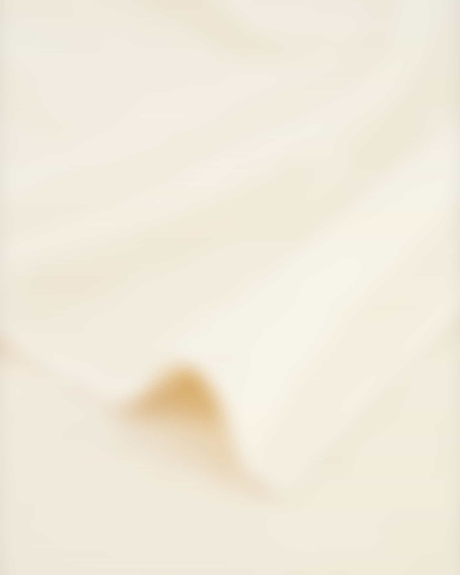 Cawö Handtücher Pure 6500 - Farbe: natur - 356 - Handtuch 50x100 cm