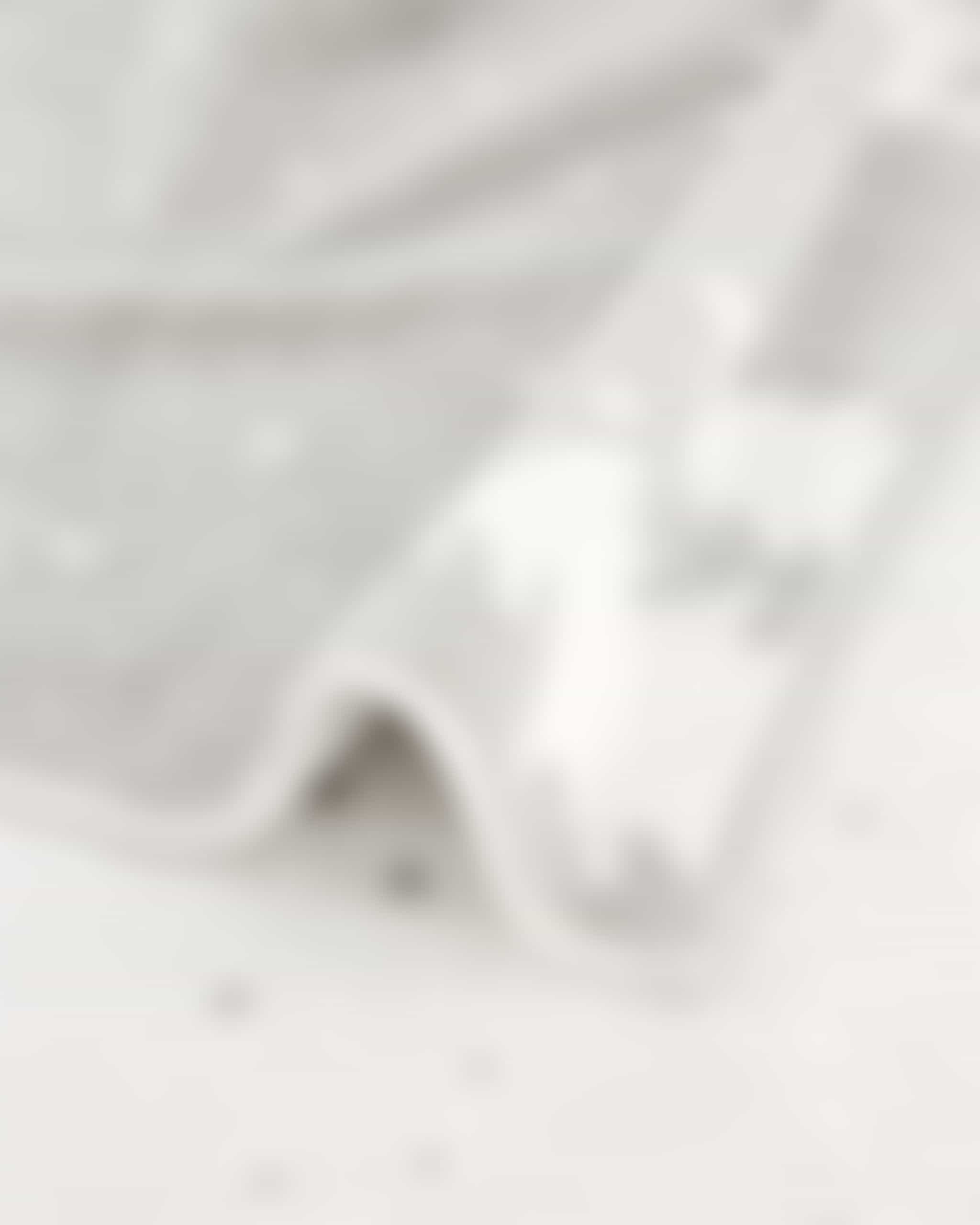 Cawö Handtücher WINTER EDITION Rudi im Schnee 6271 - Farbe: platin/weiß - 76