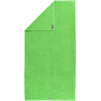 Ross Smart 4006 - Farbe: grasgrün - 36 Waschhandschuh 16x22 cm