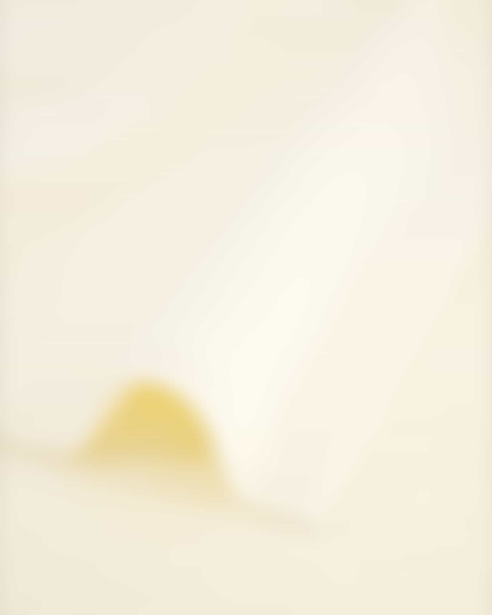 frottana Saunatücher Pearl - Farbe: ivory - 017 - 80x200 cm Detailbild 1 frottana Saunatücher Pearl - Farbe: ivory - 017 - 80x200 cm Detailbild 1