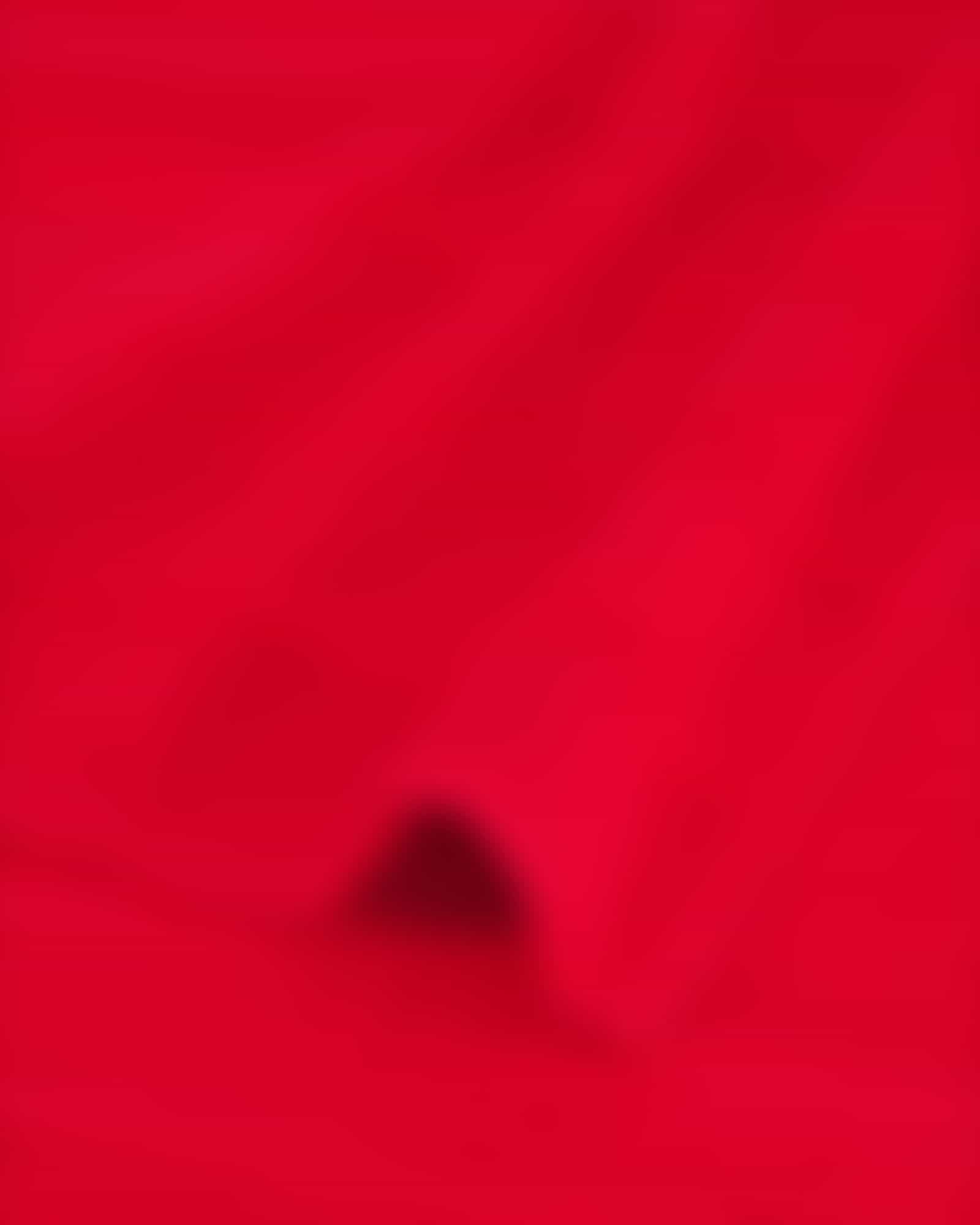 Cawö - Noblesse Uni 1001 - Farbe: 203 - rot - Handtuch 50x100 cm