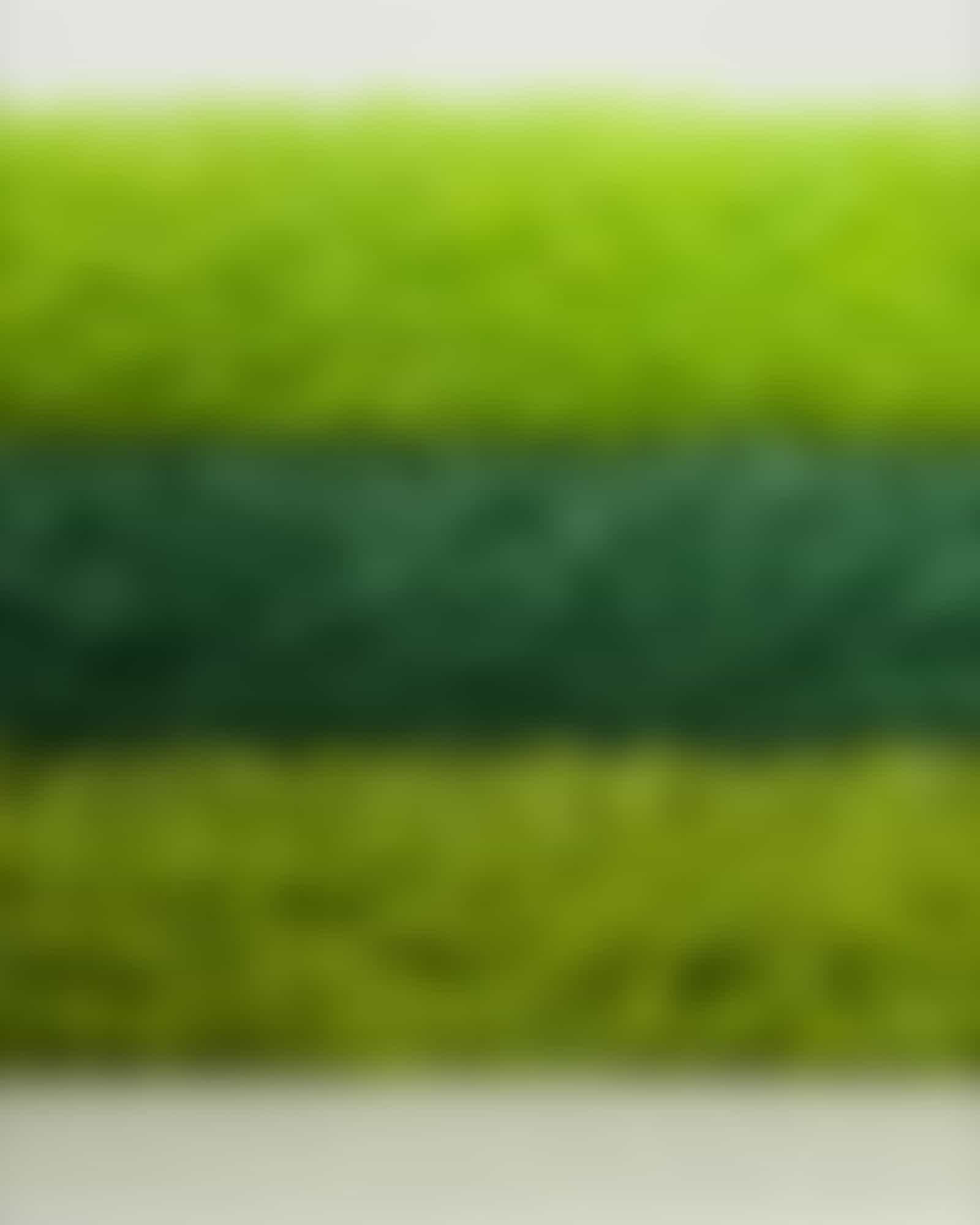 Vossen Badteppiche Timeless - Farbe: avocado - 5705