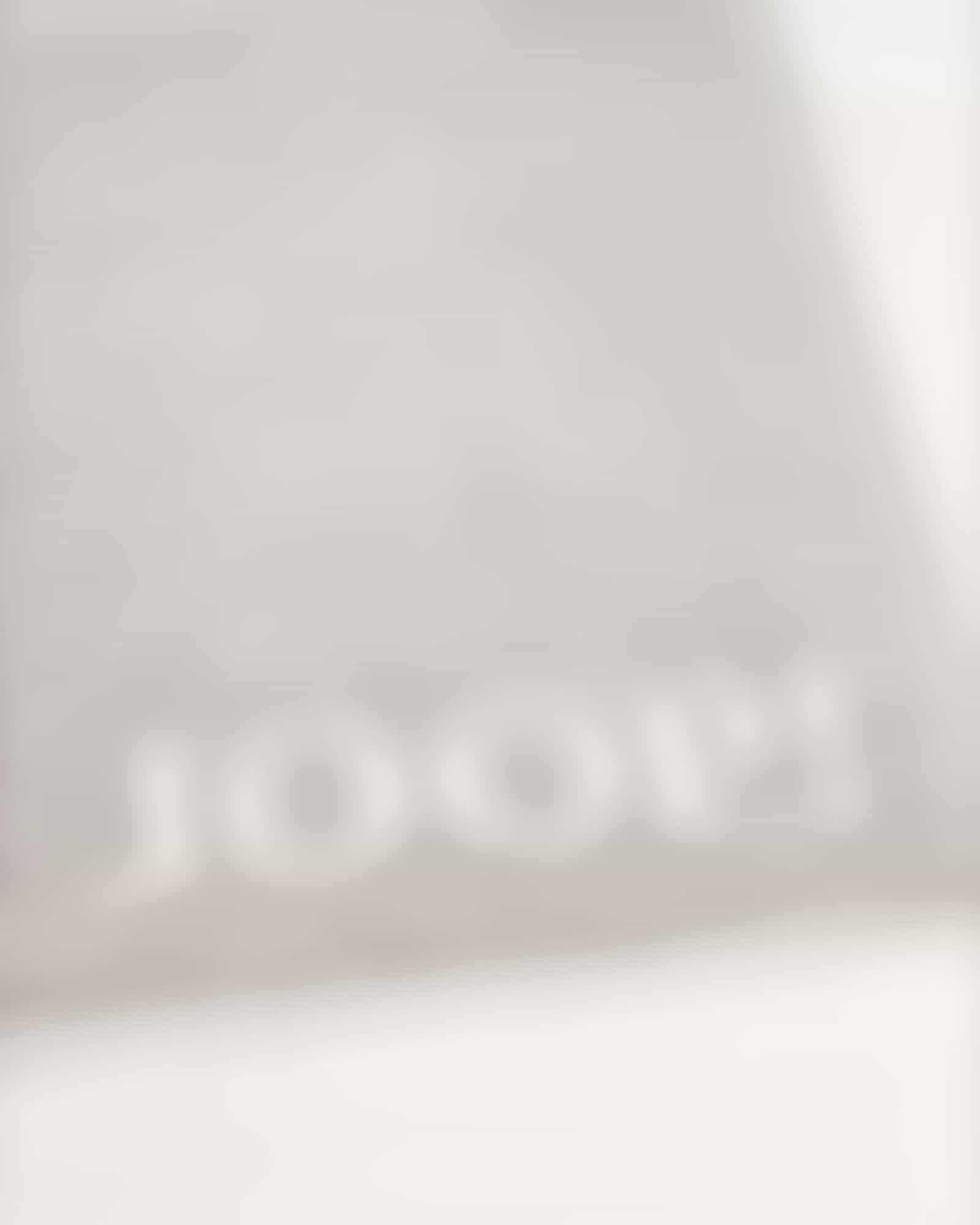 JOOP! Classic - Doubleface Badematte 1600 - 50x80 cm - Farbe: Silber/Weiß - 76 Detailbild 2