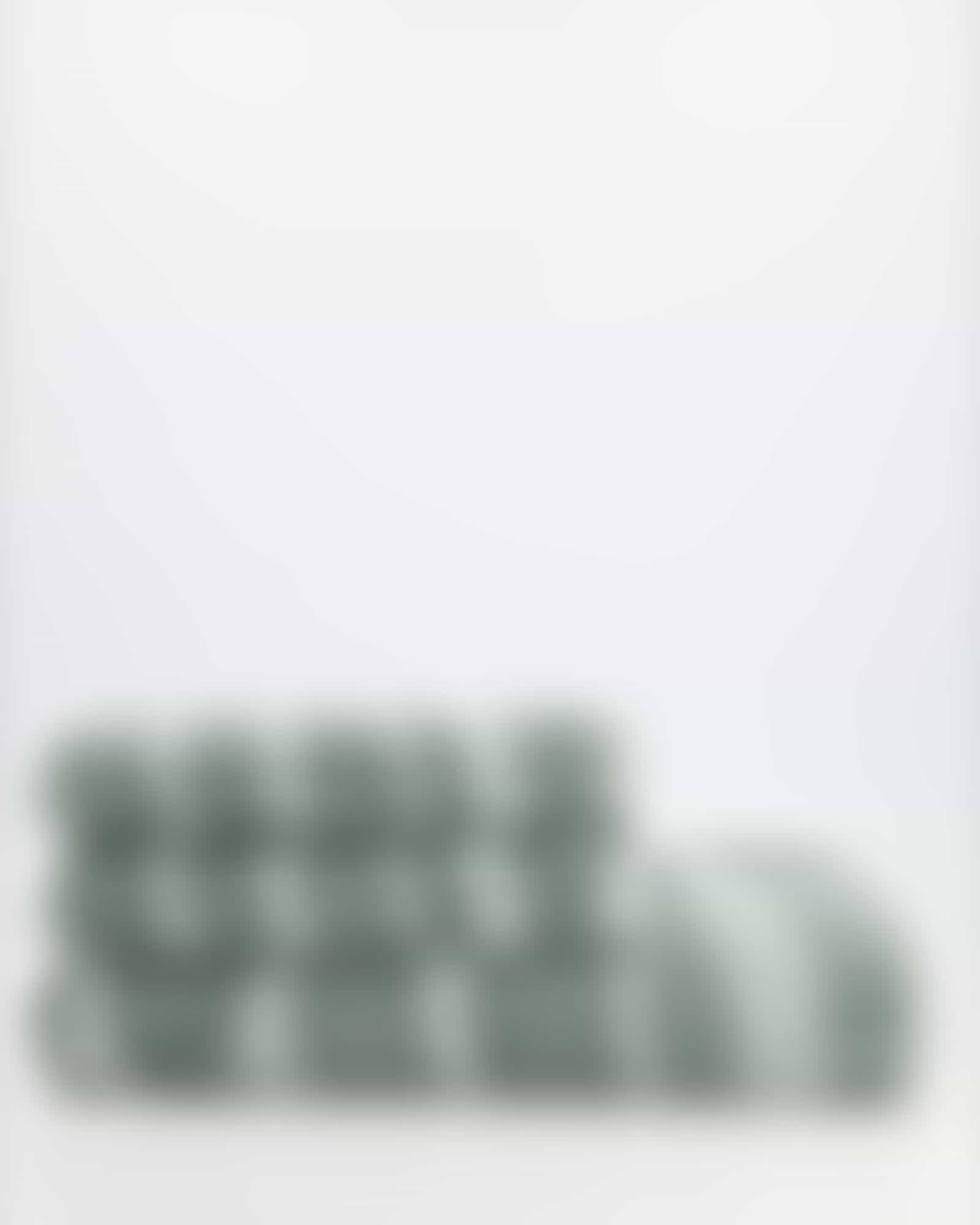 Villeroy & Boch Handtücher Coordinates Leaf 2558 - Farbe: sage green - 44