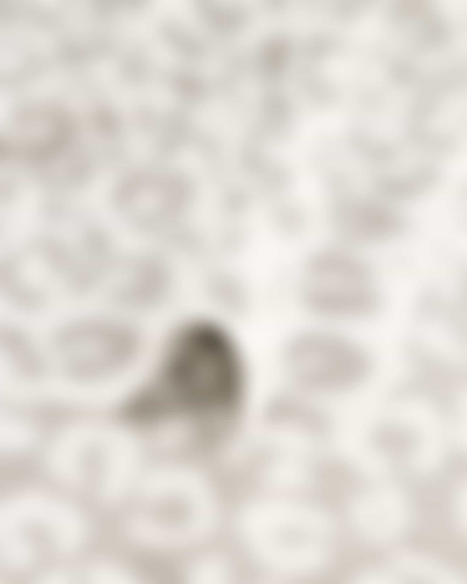 Cawö Handtücher Two-Tone Leo 540 - Farbe: platin - 76