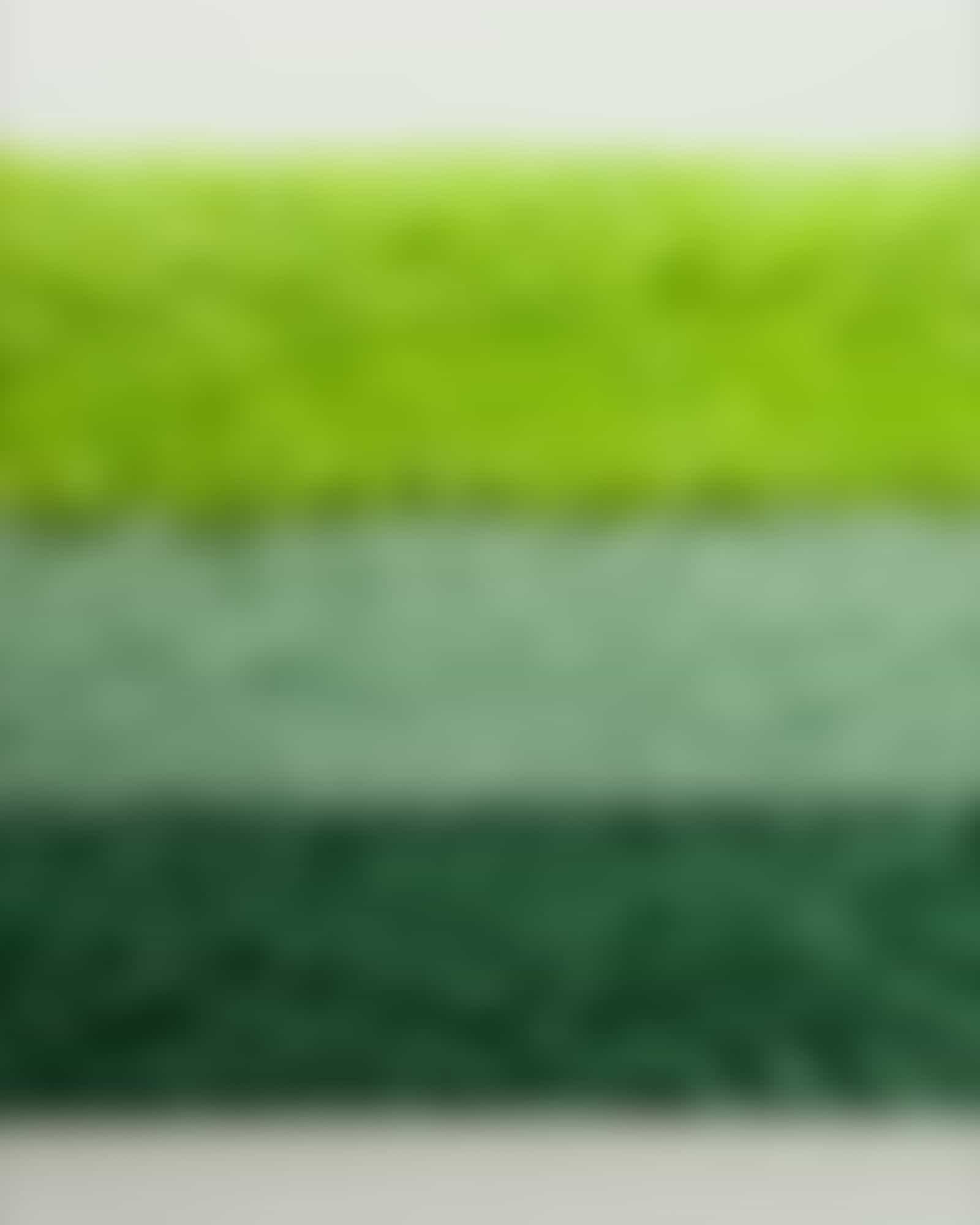 Vossen Badteppiche Timeless - Farbe: soft green - 5305