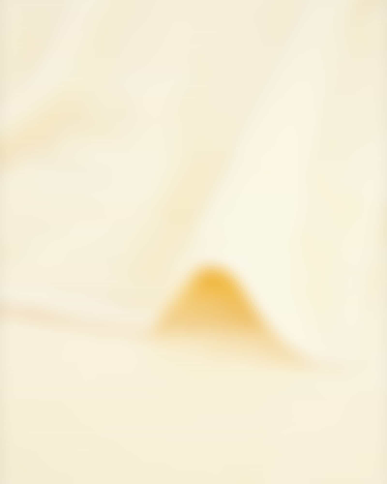 Vossen Handtücher Vienna Style Supersoft - Farbe: chamois - 1000 - Badetuch 100x150 cm