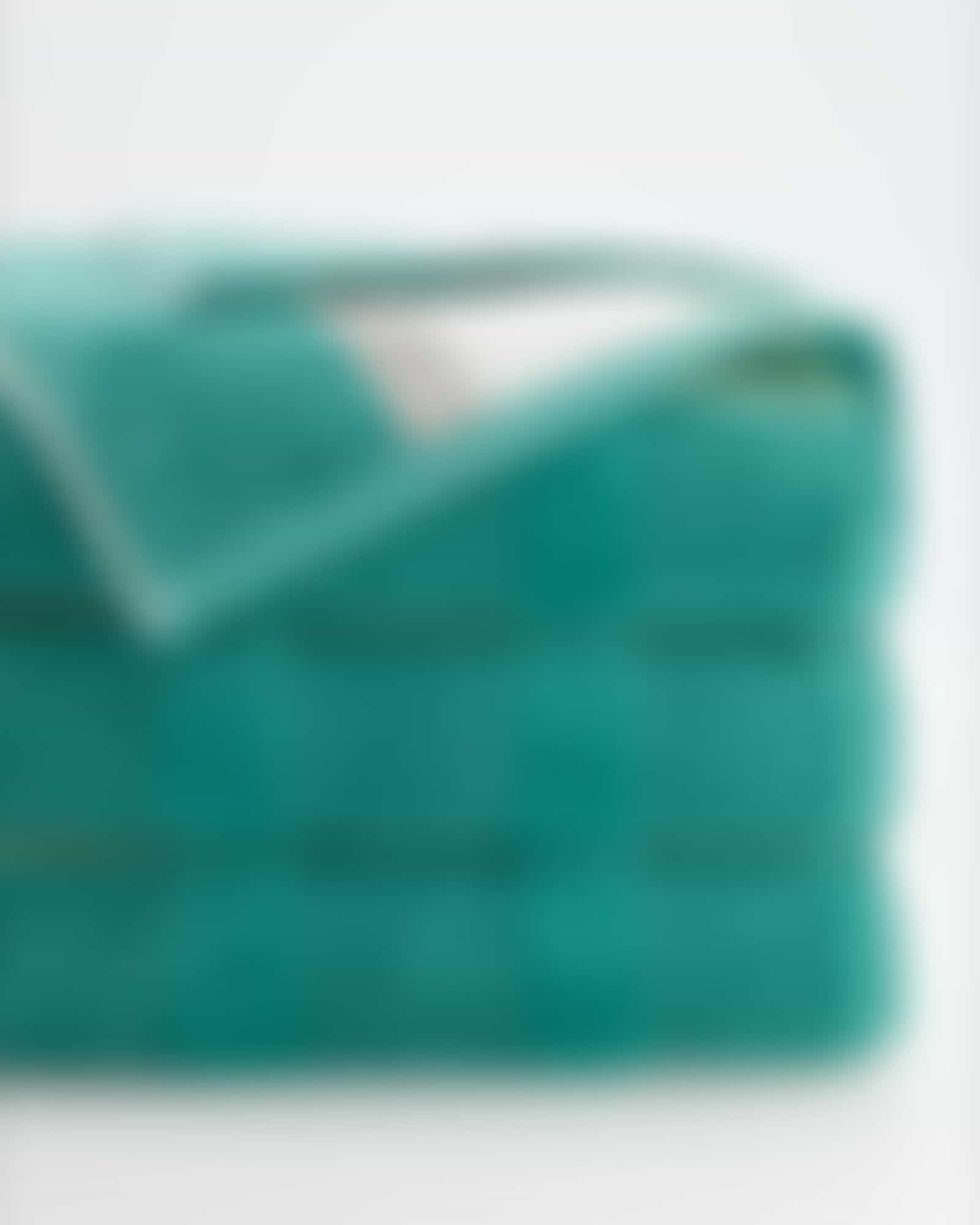 Cawö Handtücher Noblesse Stripe 1087 - Farbe: smaragd - 44 - Gästetuch 30x50 cm Detailbild 2