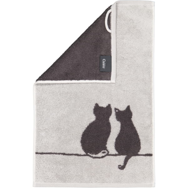 Cawö Handtücher CUTE CATS EDITION You & Me 6263 - Farbe: platin/basalt - 70 günstig online kaufen