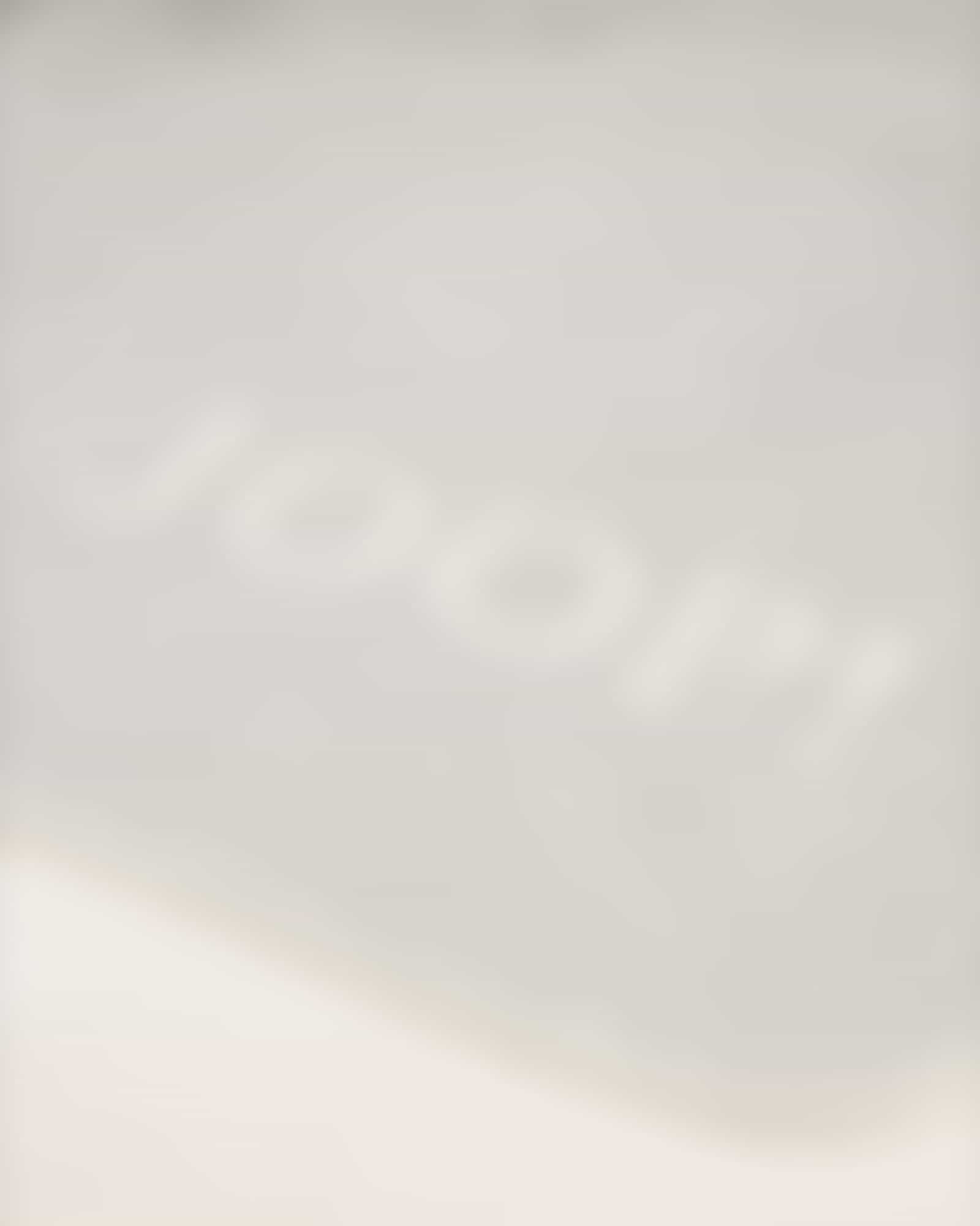 JOOP! Wohndecke Melange-Doubleface - Größe: 150x200 cm - Farbe: Stein-Silber