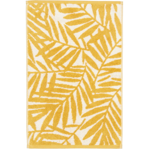 Cawö Handtücher Maison Blätter 6267 - Farbe: gold - 35 - Gästetuch 30x50 cm günstig online kaufen
