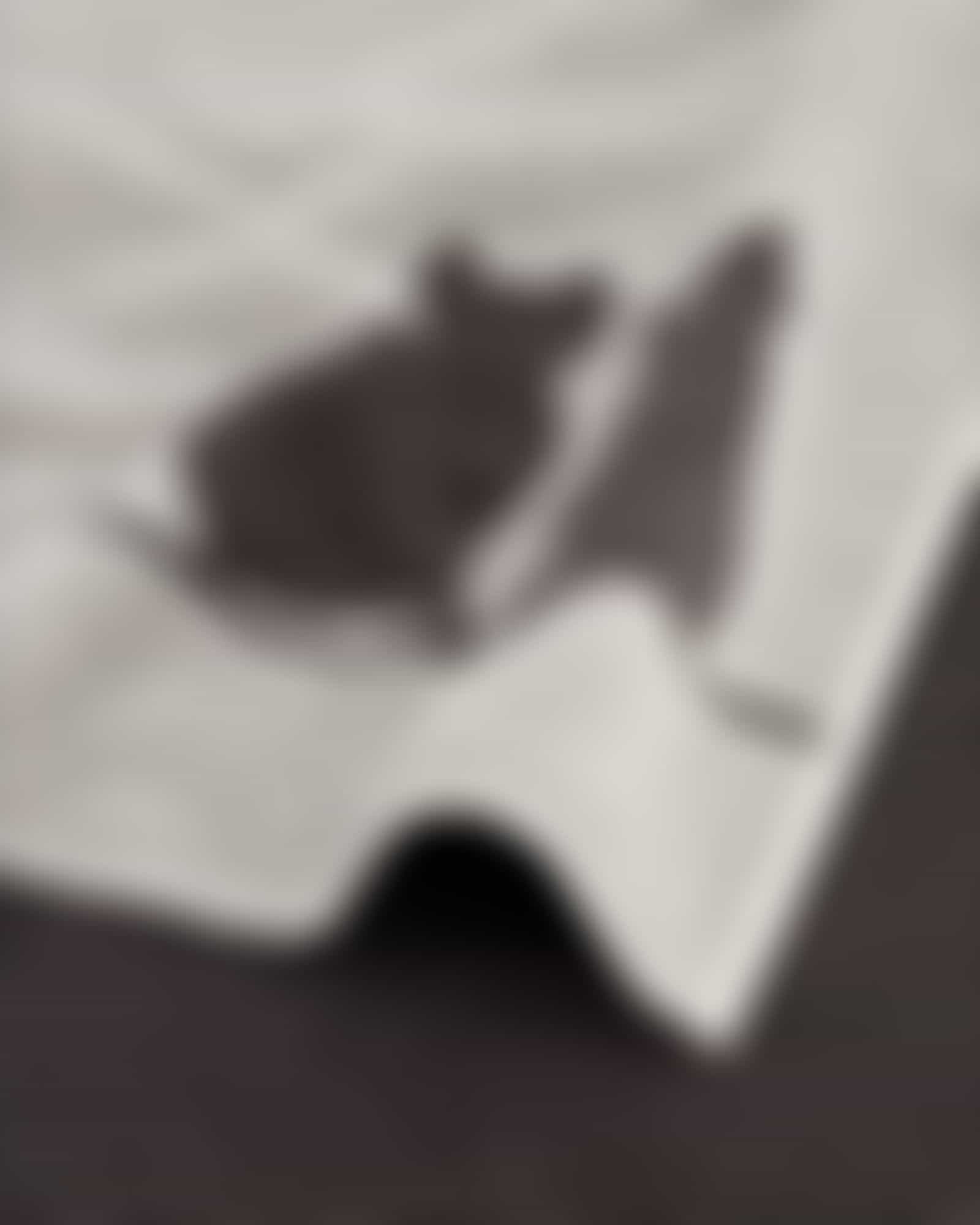 Cawö Handtücher CUTE CATS EDITION You & Me 6263 - Farbe: platin/basalt - 70