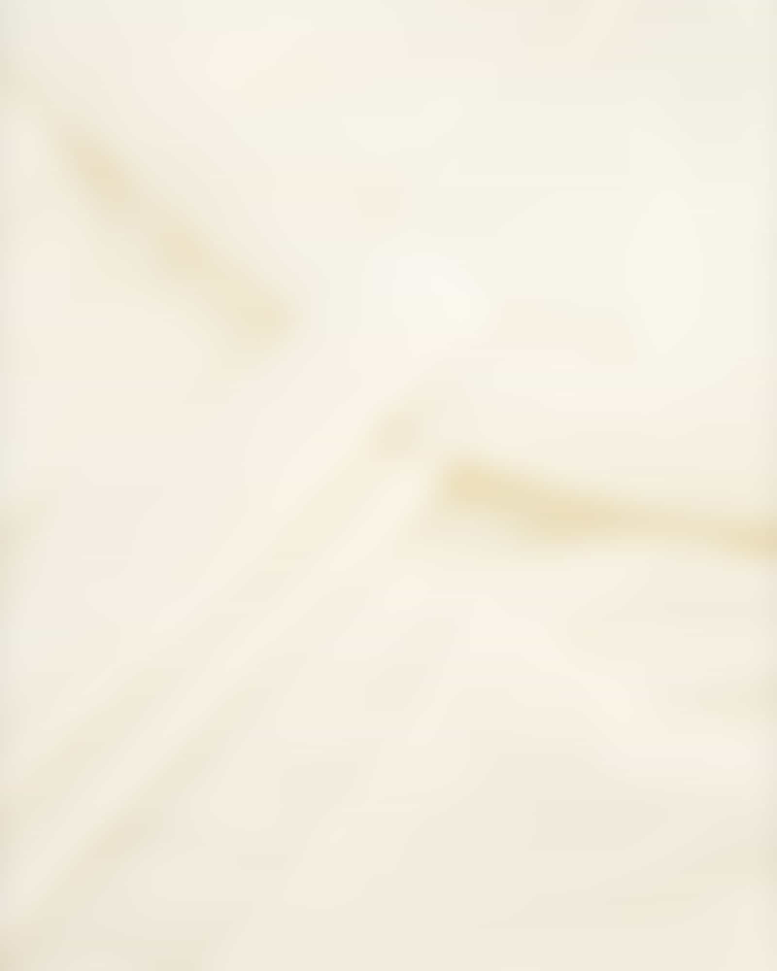 Vossen Bademäntel unisex Kapuze Lynn - Farbe: ivory - 1030 - L Detailbild 2 Vossen Bademäntel unisex Kapuze Lynn - Farbe: ivory - 1030 - L Detailbild 2