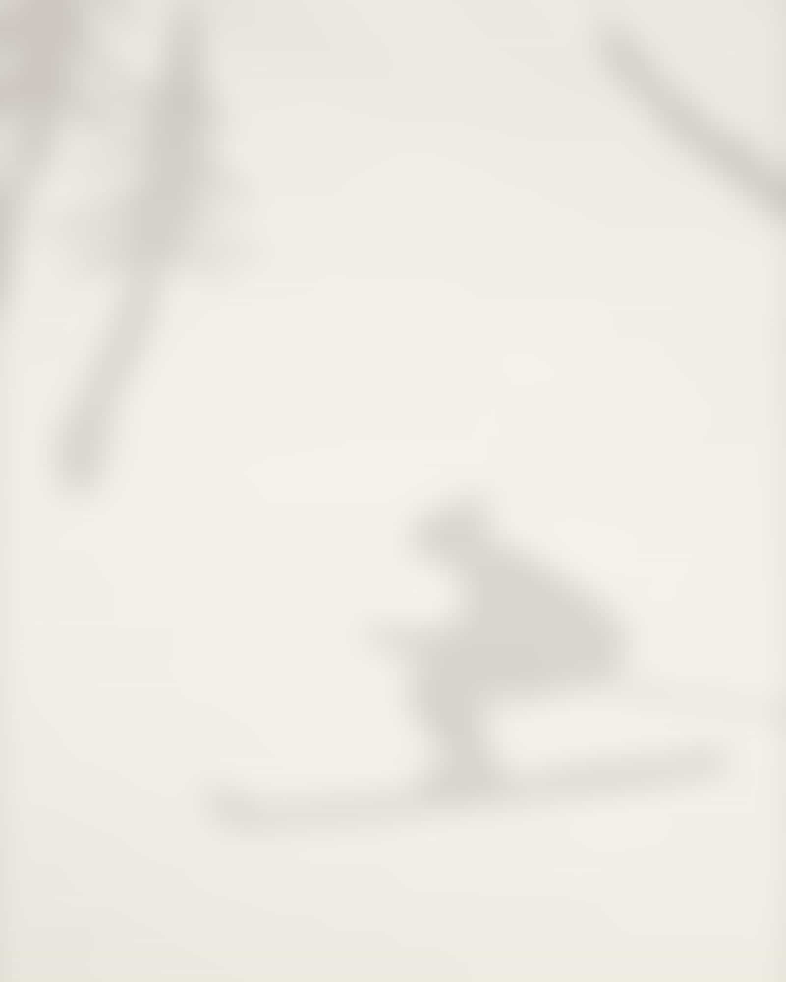 Cawö Wohndecken WINTER EDITION Skifahrer 62720 - Farbe: natur/stein - 67 - 150x200 cm