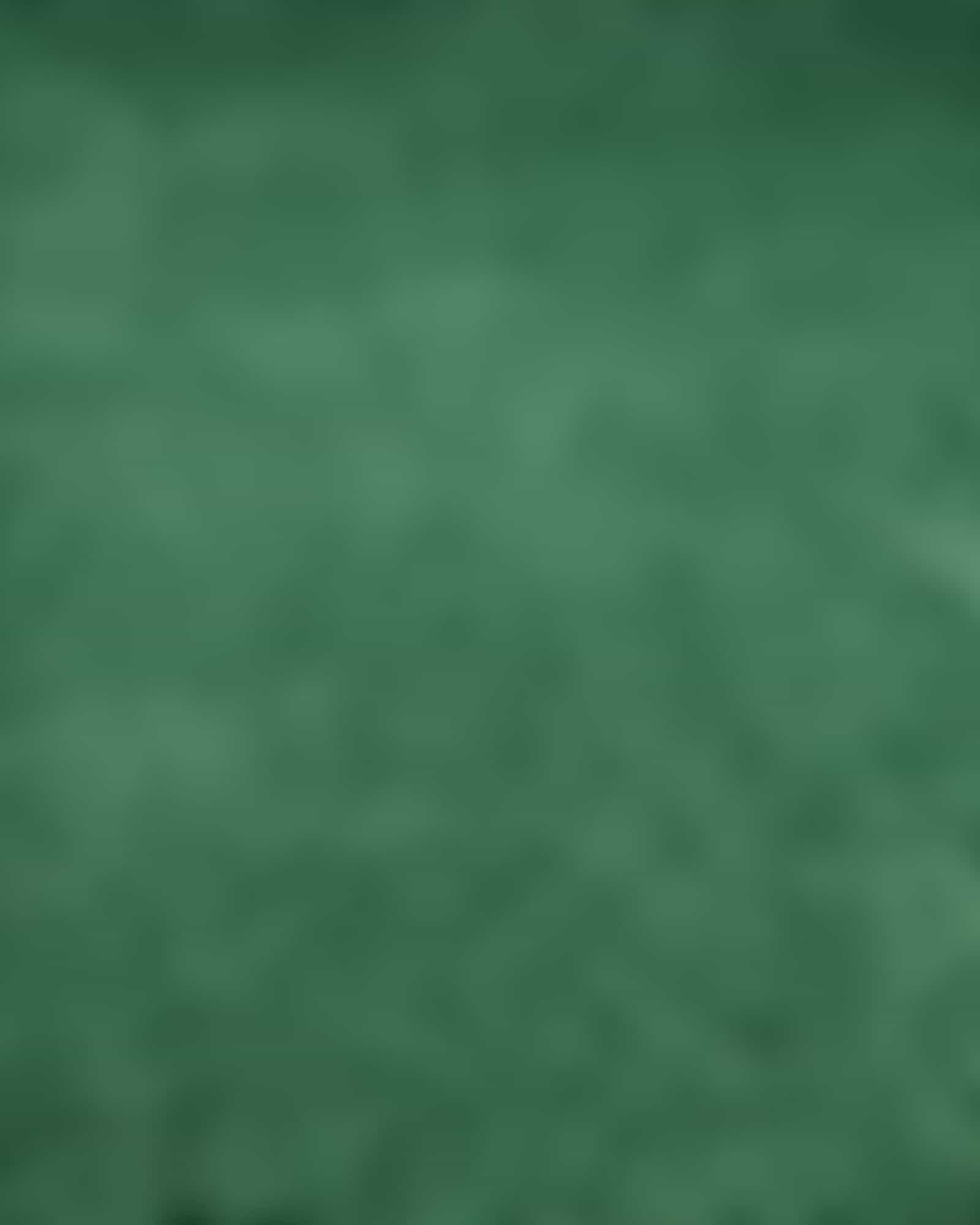 Vossen Badteppiche Timeless - Farbe: evergreen - 5525
