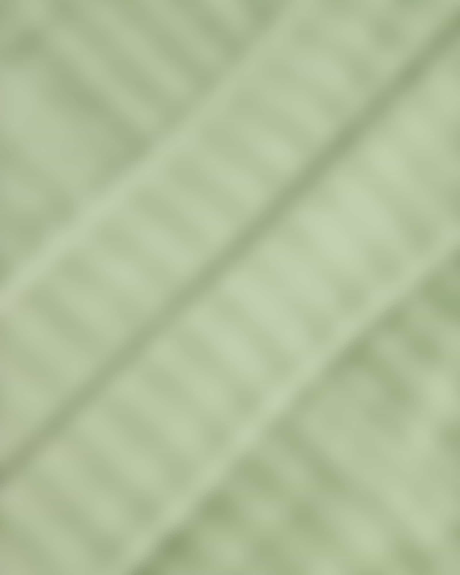 Vossen Bademäntel Damen Schalkragen Coco - Farbe: eucalyptus - 5285