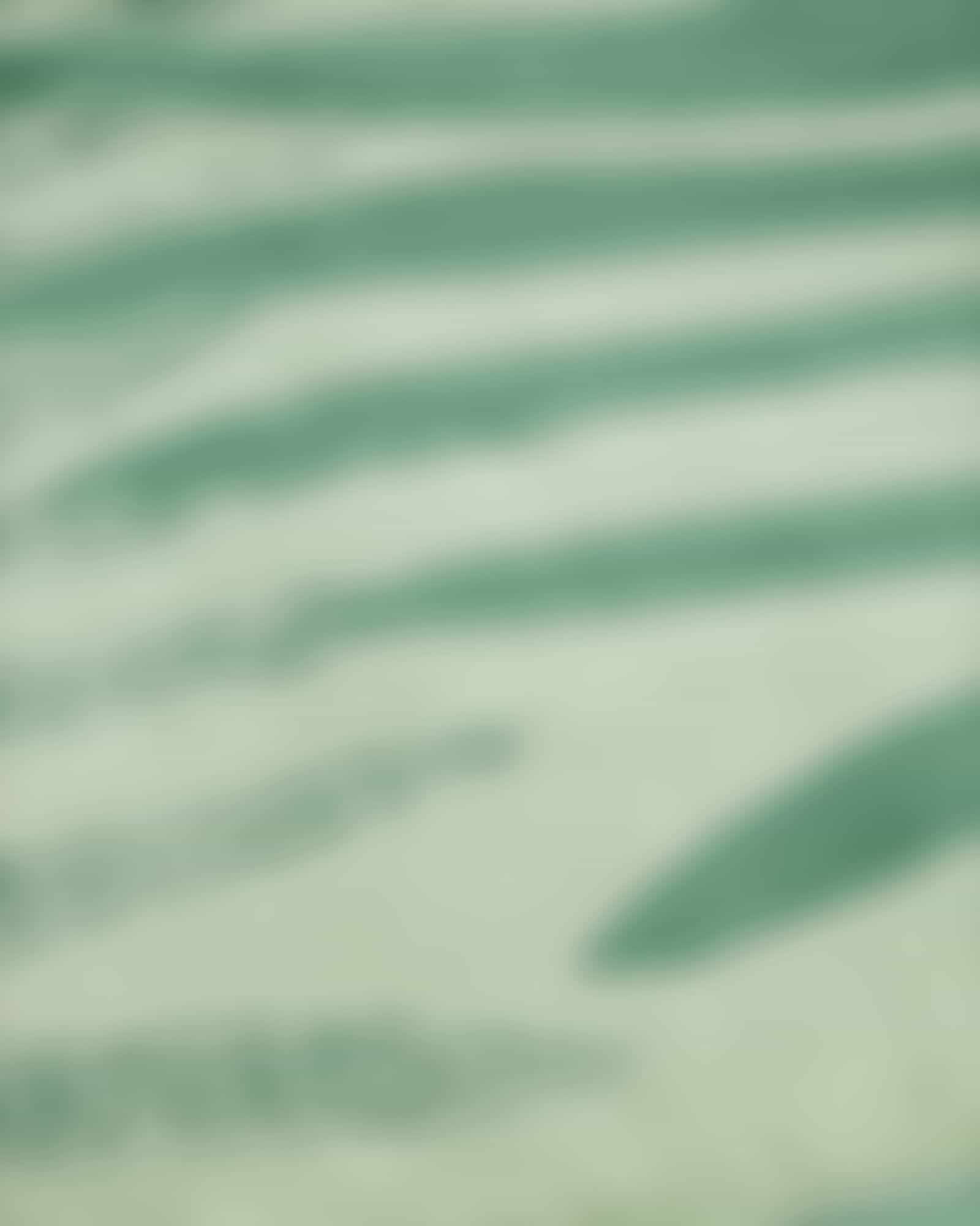 Vossen Strandtücher Palm Paradise - Farbe: eucalyptus - 0001 - 100x180 cm
