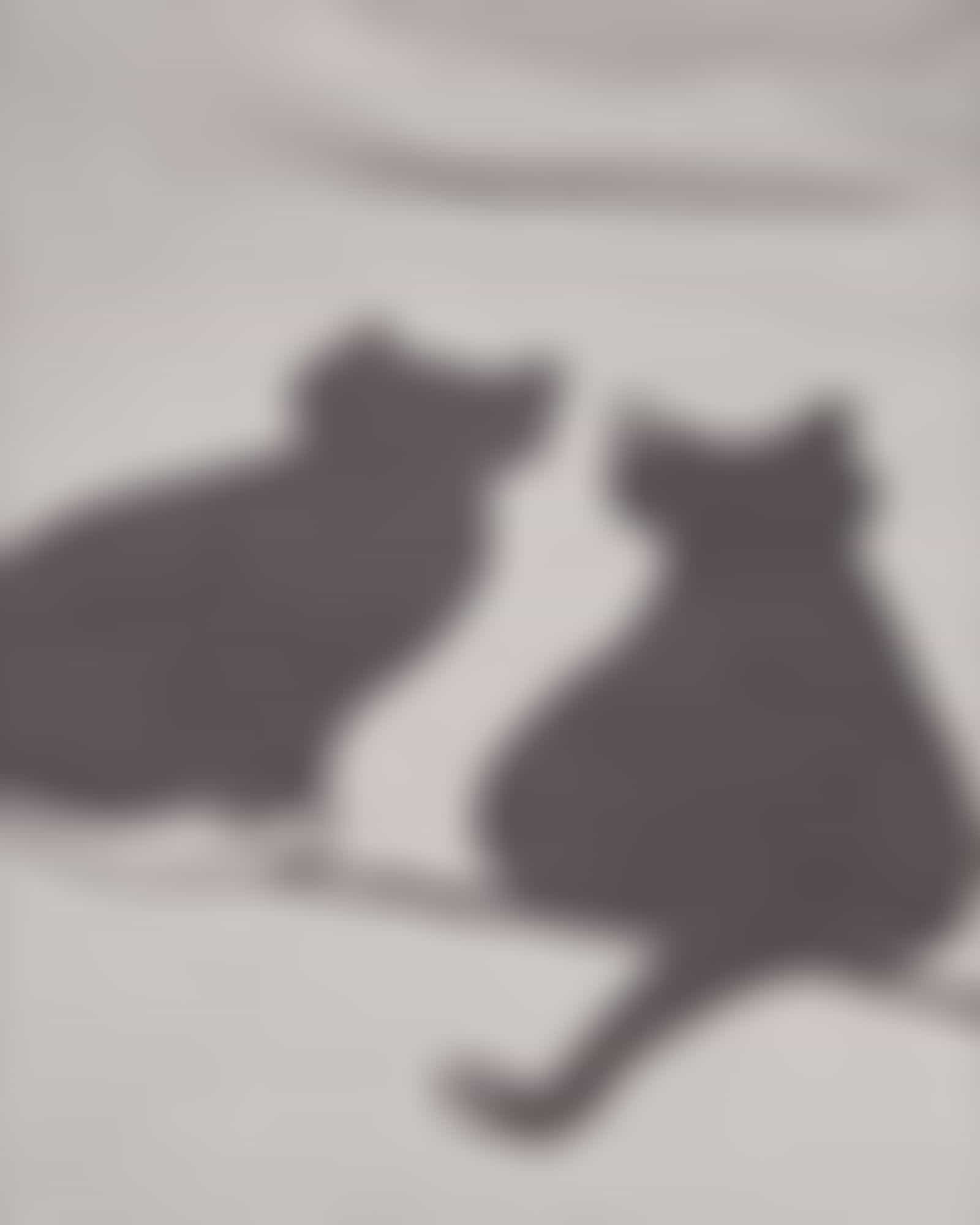 Cawö Wohndecken CUTE CATS EDITION You &amp; Me 62630 - Farbe: stein/anthrazit - 70 - 150x200 cm