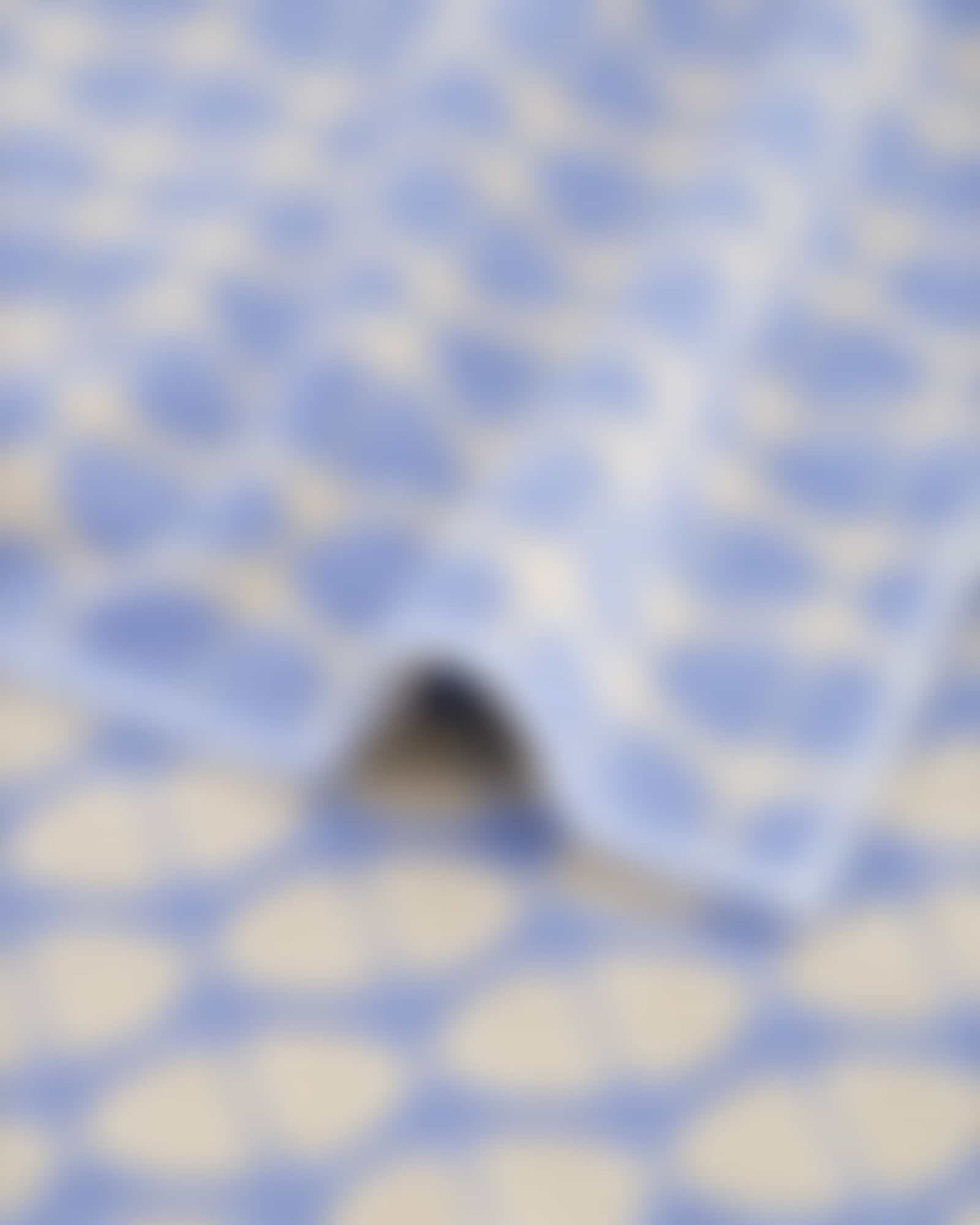 Cawö Handtücher Sol Allover 6203 - Farbe: sky - 13 - Duschtuch 80x150 cm