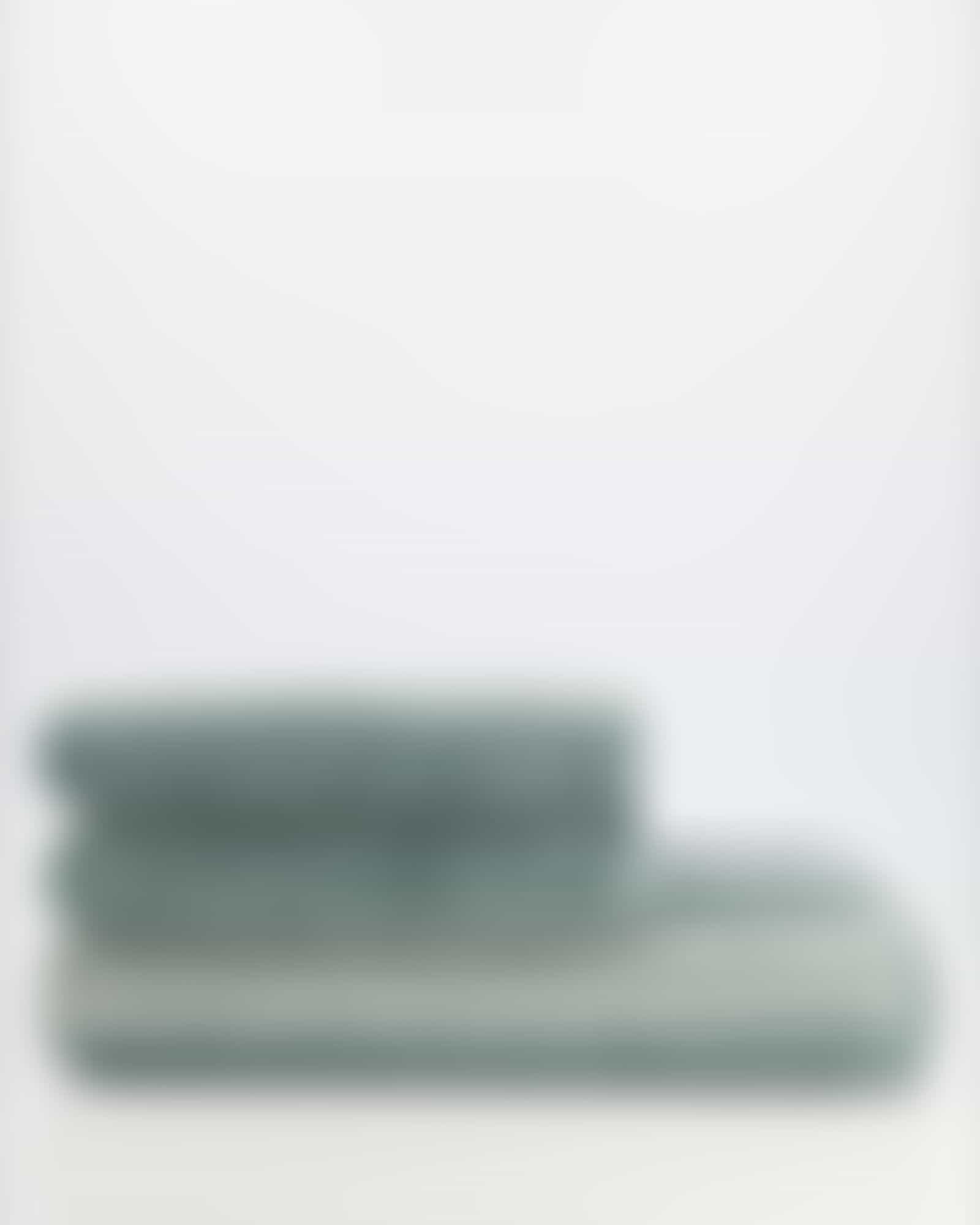 Cawö Handtücher Grade Streifen 4012 - Farbe: eukalyptus - 44