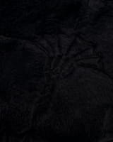 JOOP! Kissenhüllen Cozy Cornflower - Farbe: Schwarz - 002 - 50x50 cm