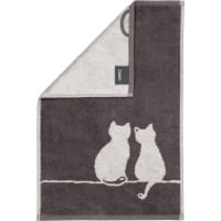 Cawö Handtücher CUTE CATS EDITION You & Me 6263 - Farbe: basalt/platin - 77 - Gästetuch 30x50 cm