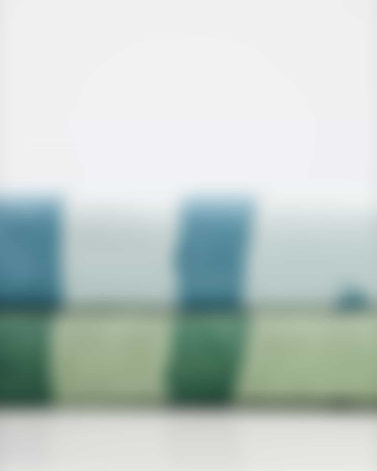 Vossen Strandtücher Palm Paradise - Farbe: eucalyptus - 0001 - 100x180 cm
