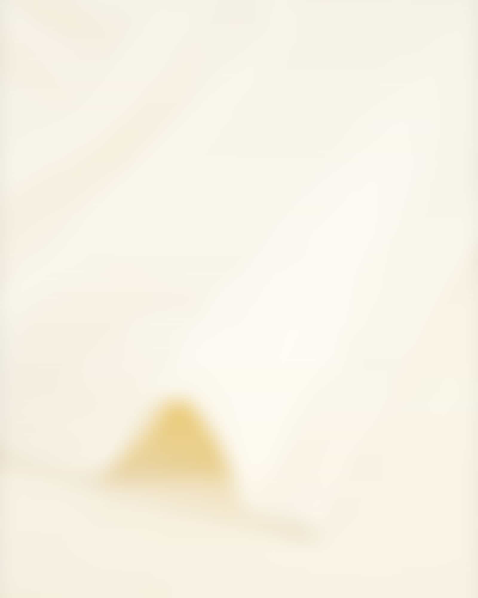 Vossen Handtücher Belief - Farbe: ivory - 1030 Detailbild 1